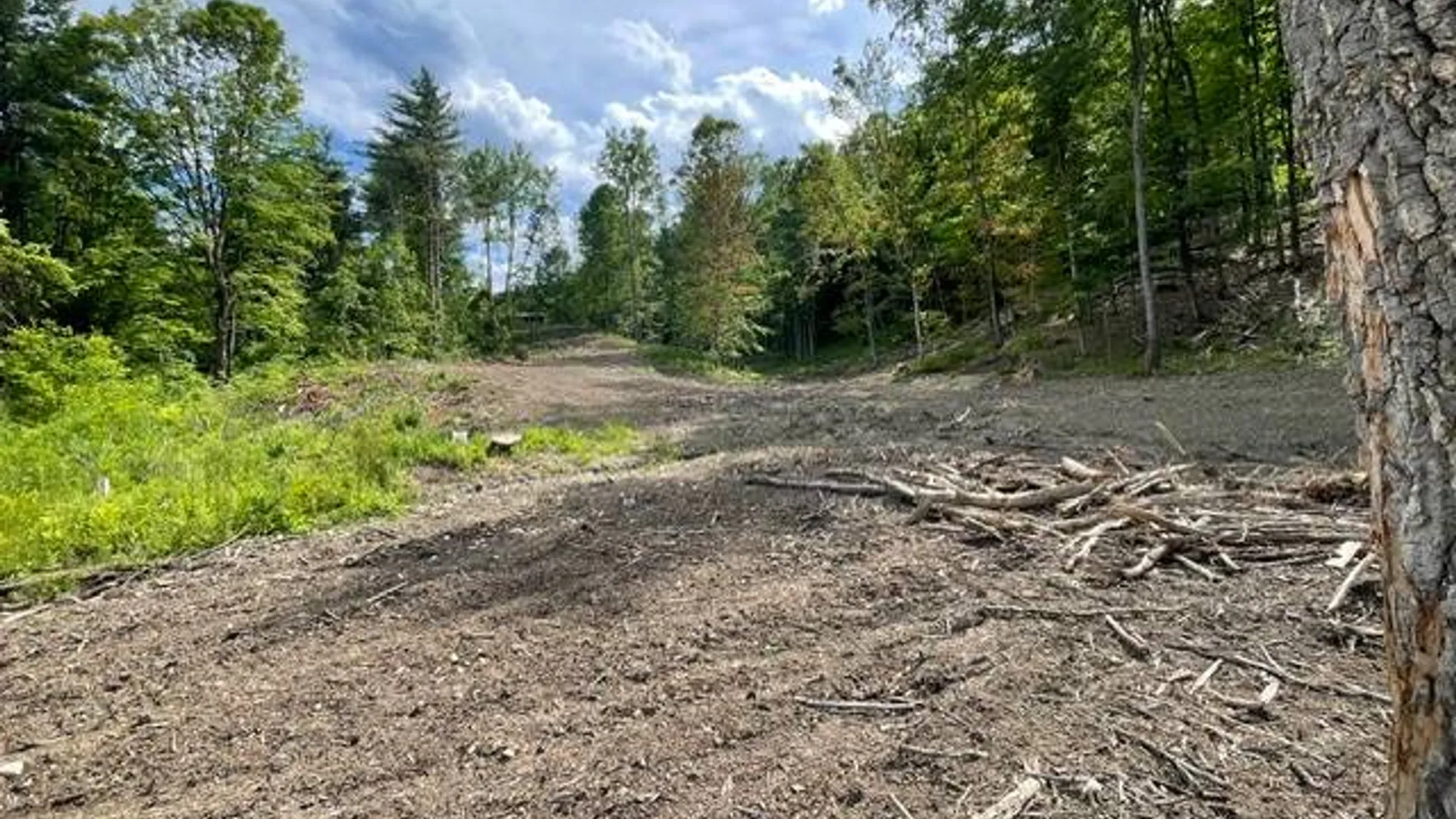 Property at 20419 State Route 22, Petersburg, NY 12138 13