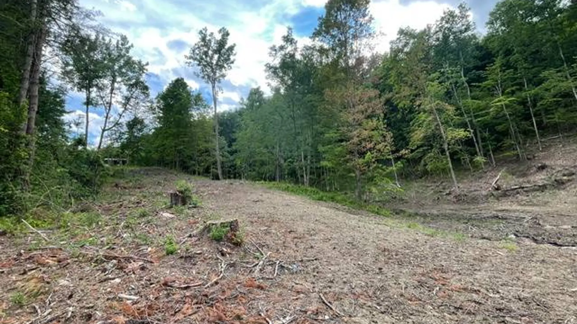 Property at 20419 State Route 22, Petersburg, NY 12138 16