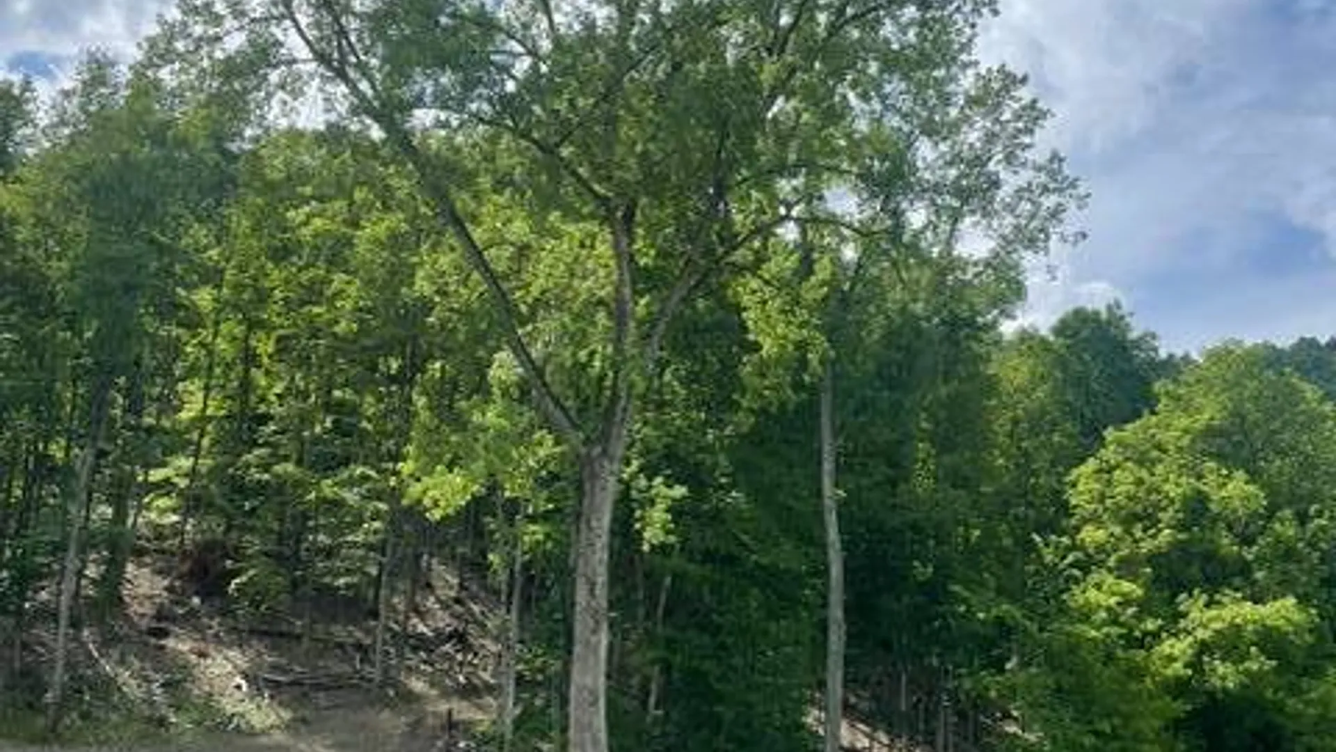 Property at 20419 State Route 22, Petersburg, NY 12138 17