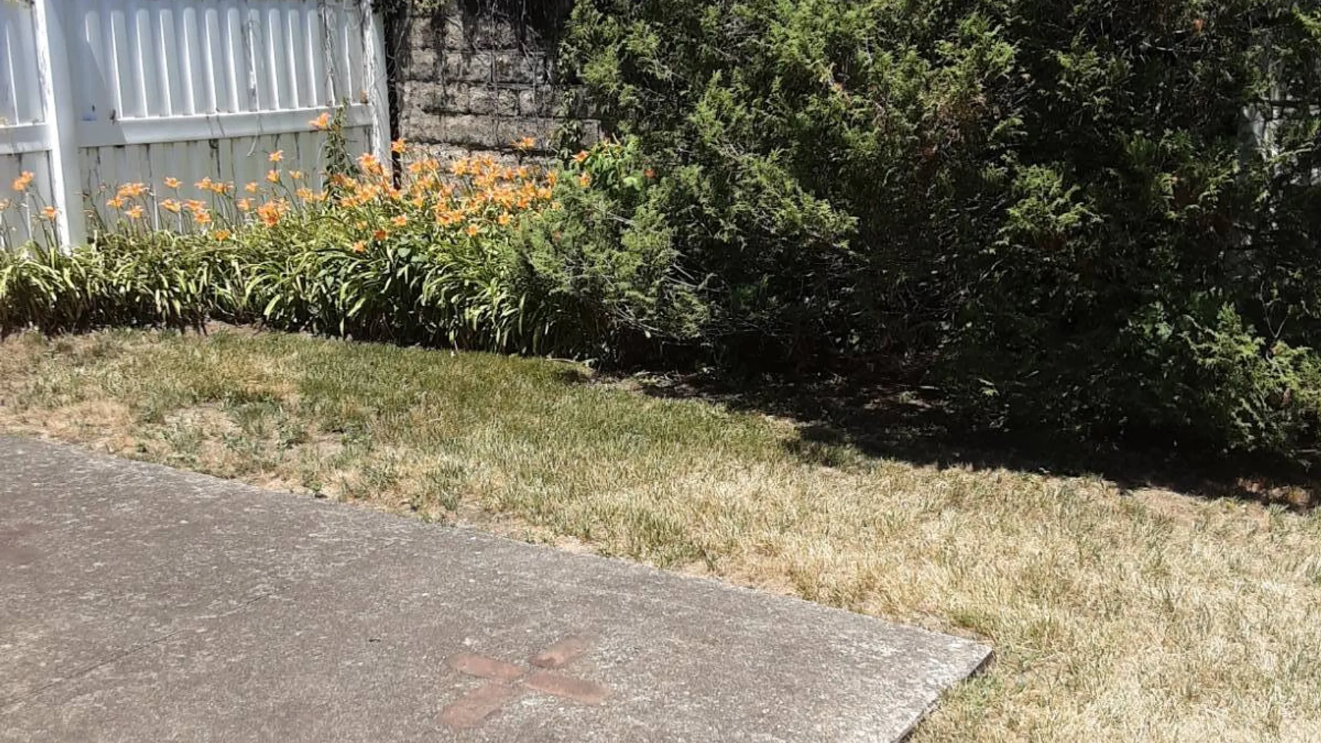 Property at 115-42 223rd St, Cambria Heights, NY 11411 54