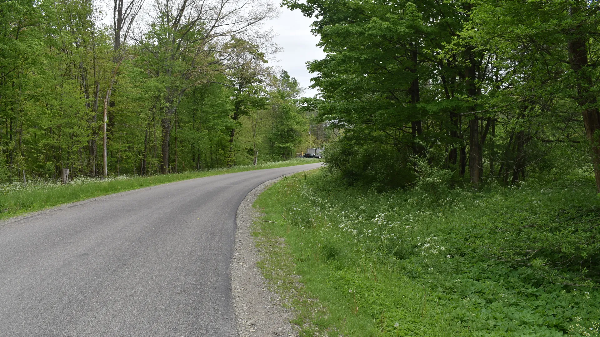 Property at Harris Hollow Road, Gerry, NY 14740 23