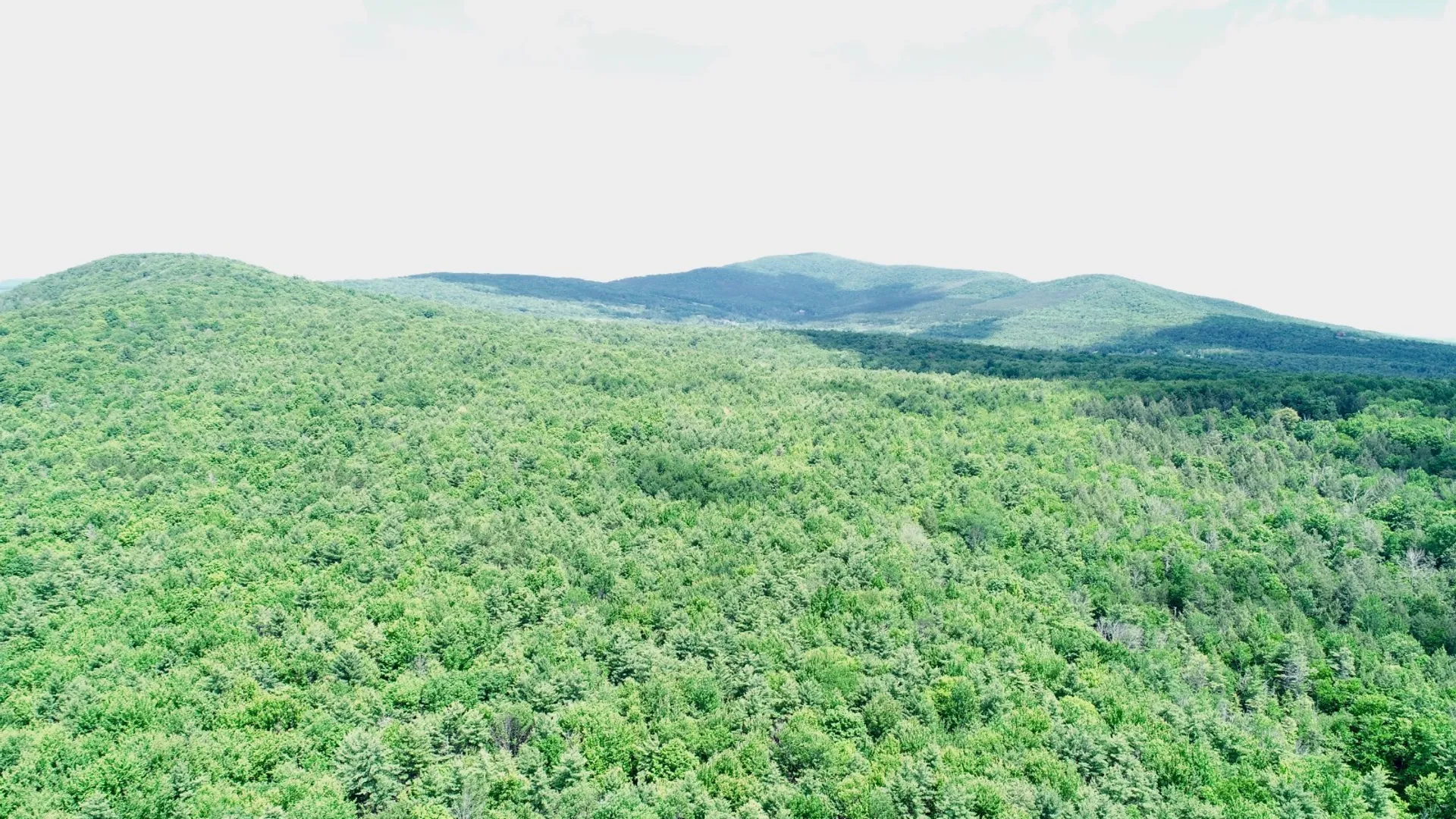 Property at 147 Pangman Rd, Gilboa, NY 12076 14