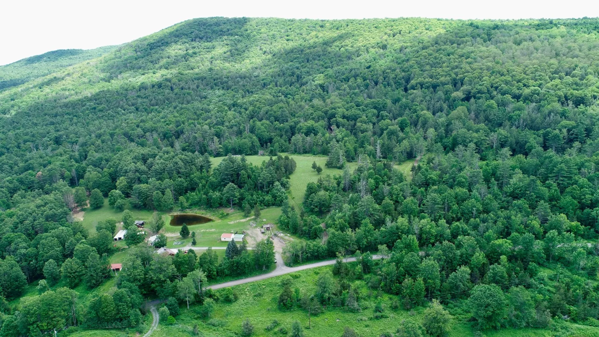 Property at 147 Pangman Rd, Gilboa, NY 12076 2