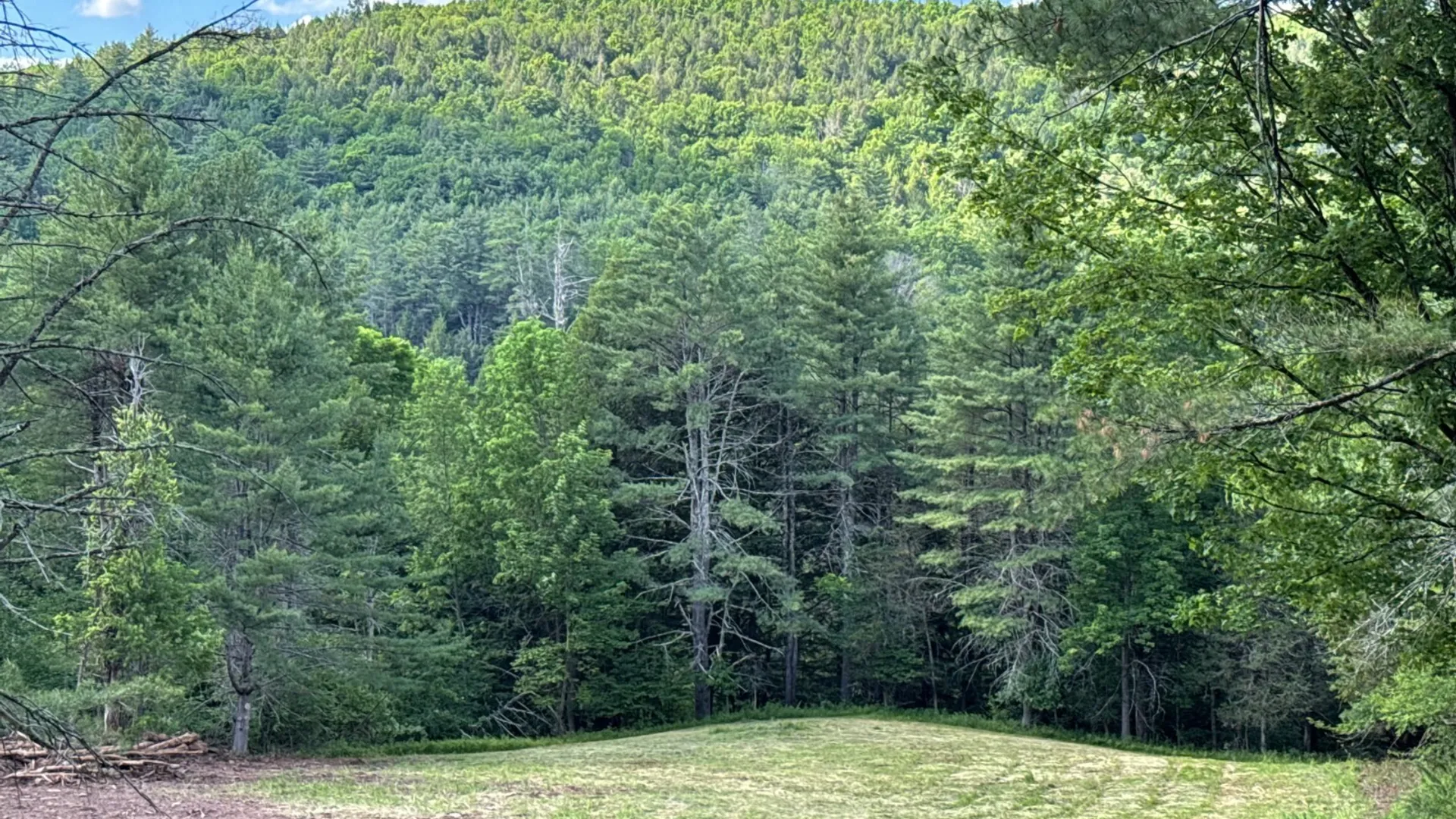 Property at 147 Pangman Rd, Gilboa, NY 12076 43