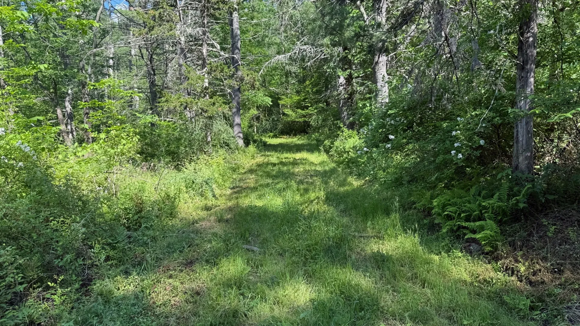 Property at 147 Pangman Rd, Gilboa, NY 12076 44