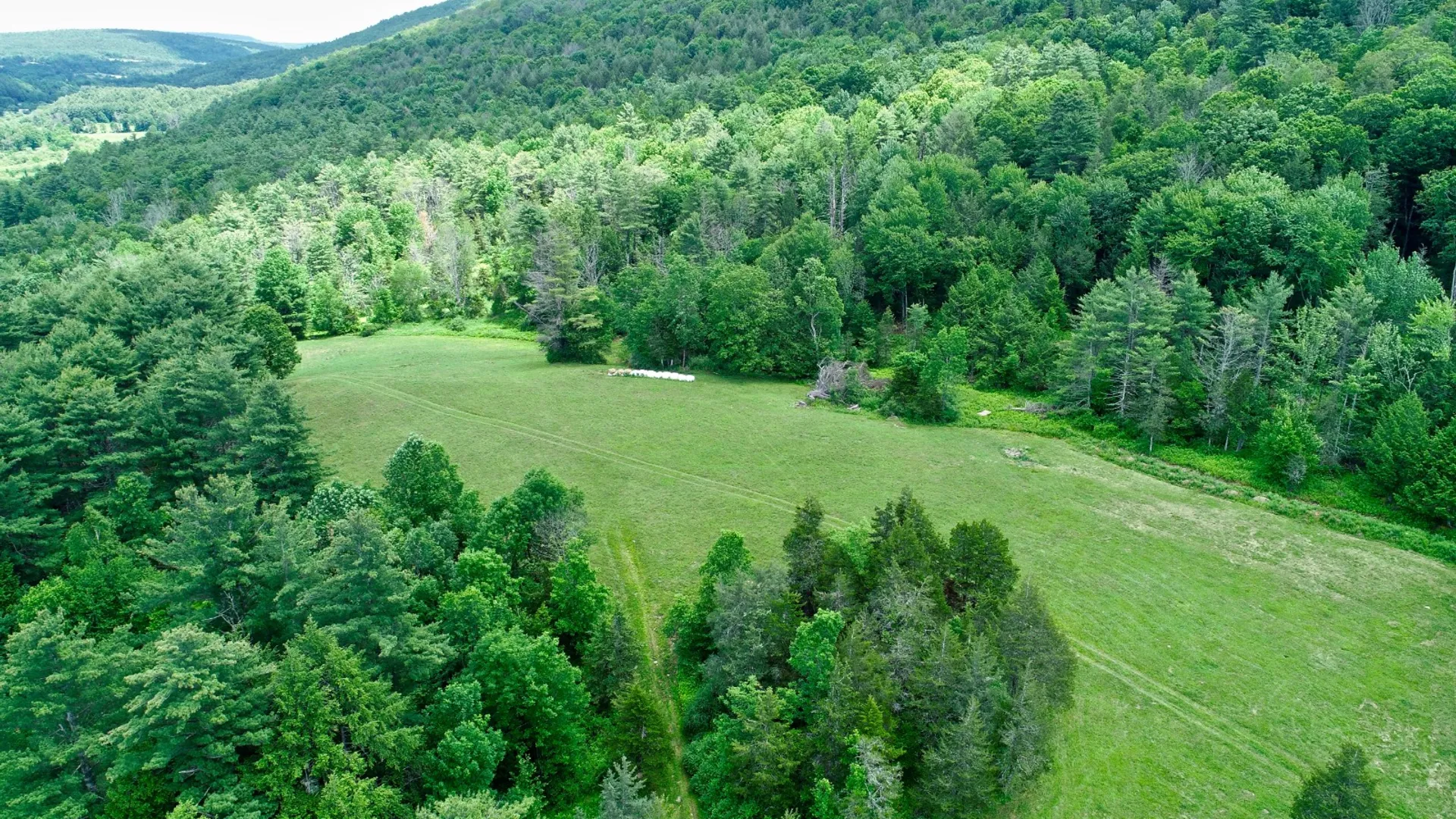 Property at 147 Pangman Rd, Gilboa, NY 12076 5