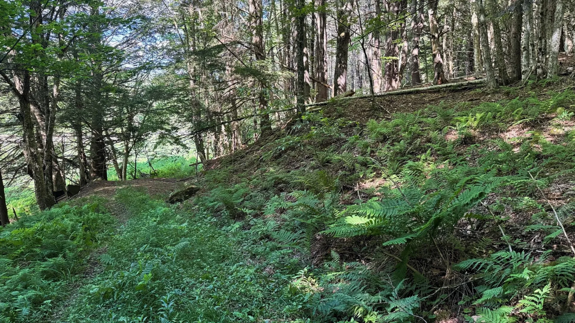 Property at 147 Pangman Rd, Gilboa, NY 12076 51