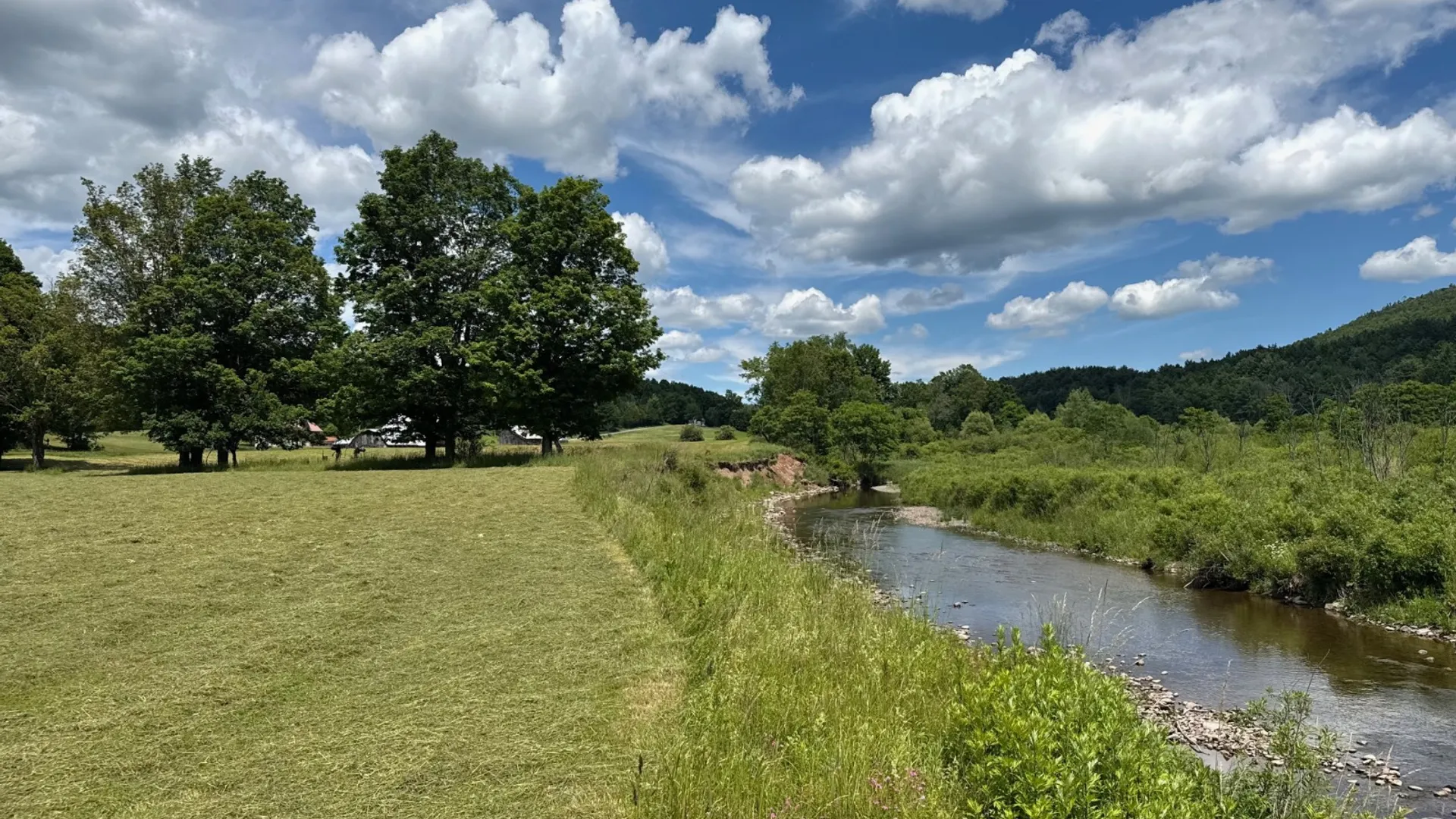 Property at 147 Pangman Rd, Gilboa, NY 12076 56