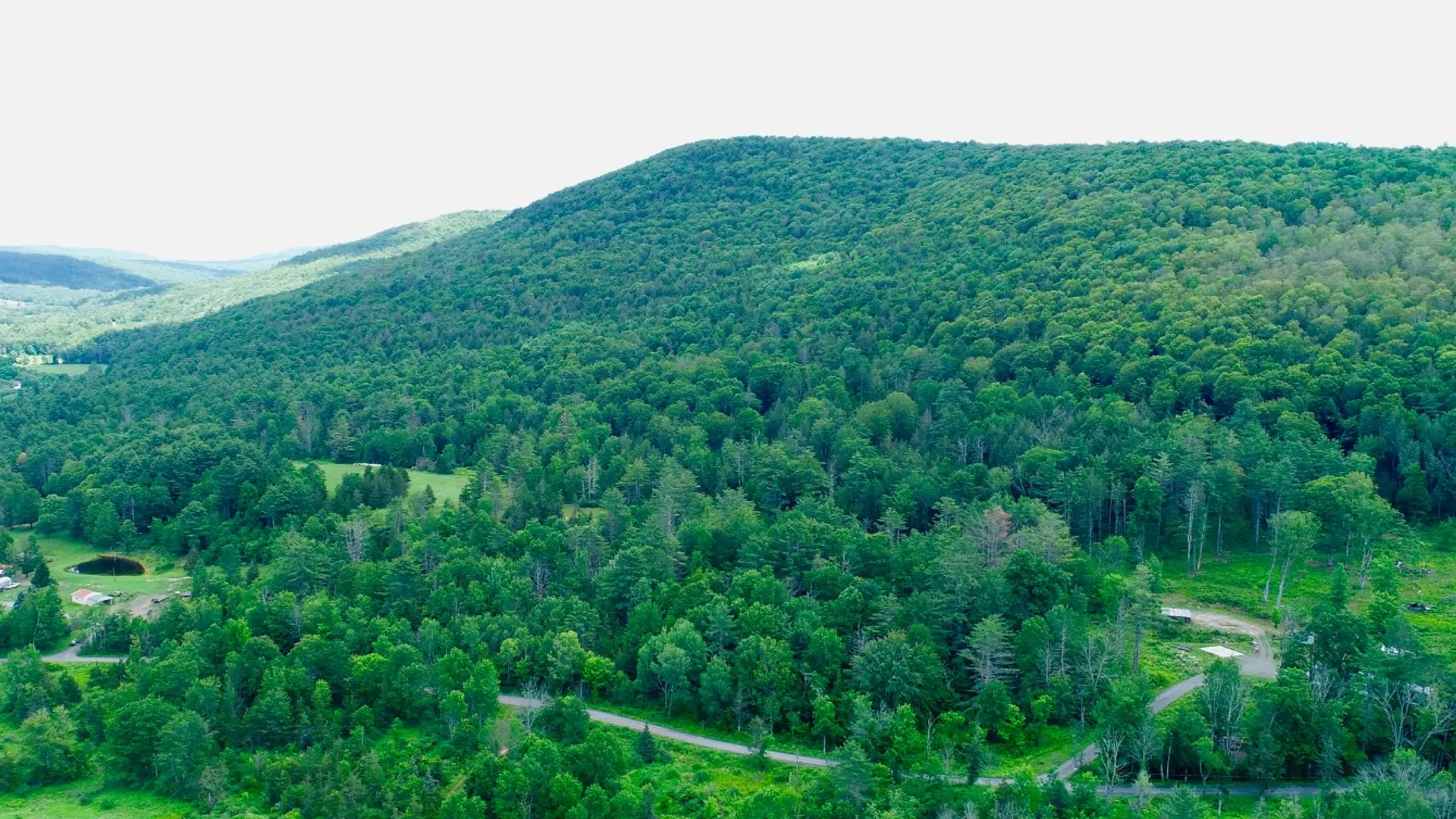 Property at 147 Pangman Rd, Gilboa, NY 12076 6