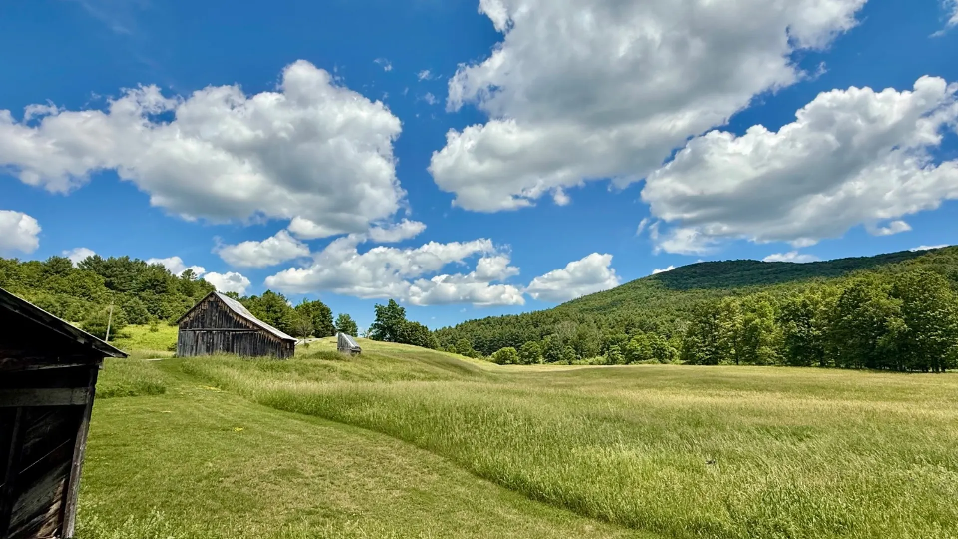 Property at 1061 State Route 990V, Gilboa, NY 12076 46