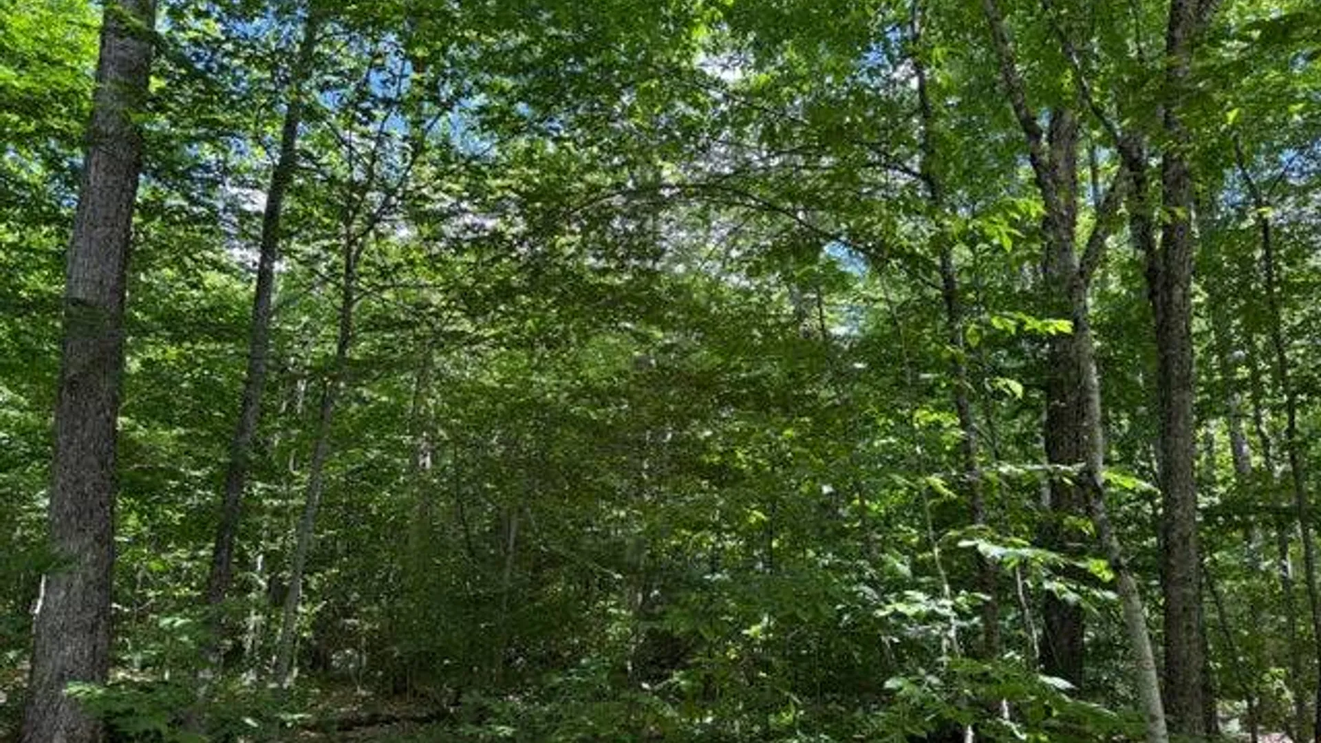 Property at 303 N. Shore Peck Rd., Gloversville, NY 12078 16