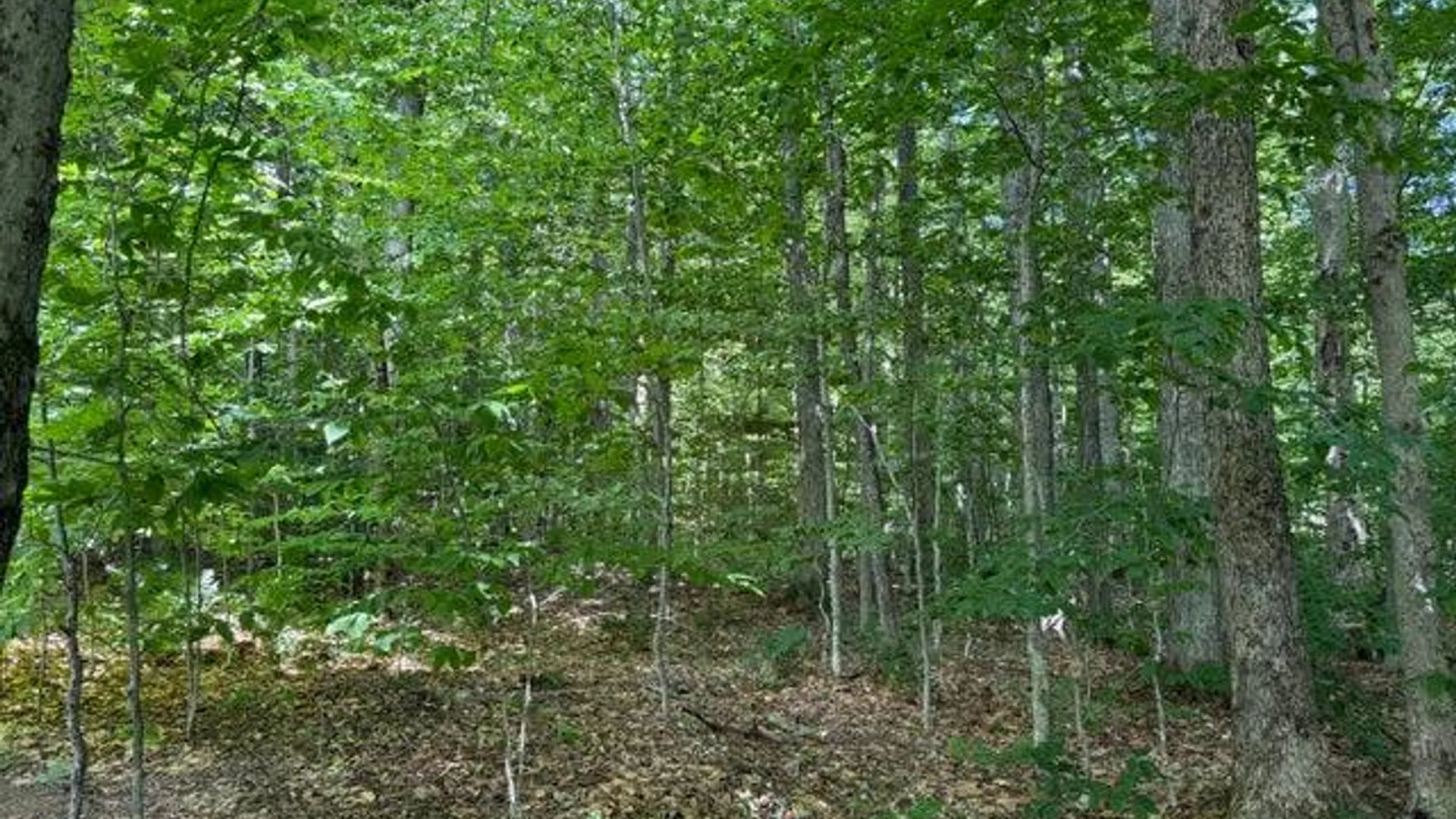 Property at 303 N. Shore Peck Rd., Gloversville, NY 12078 17