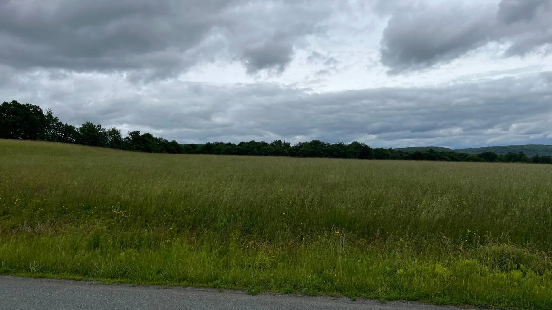 Property at 00 Dessecker Rd, Livingston Manor, NY 12758 2