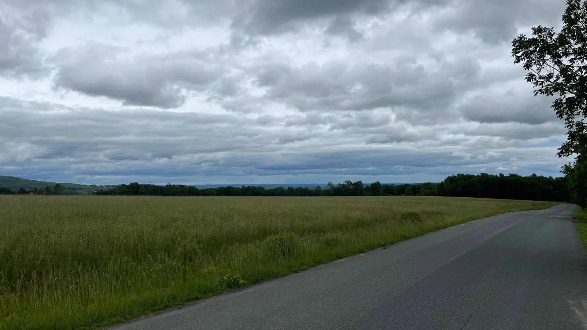 Property at 00 Dessecker Rd, Livingston Manor, NY 12758 4