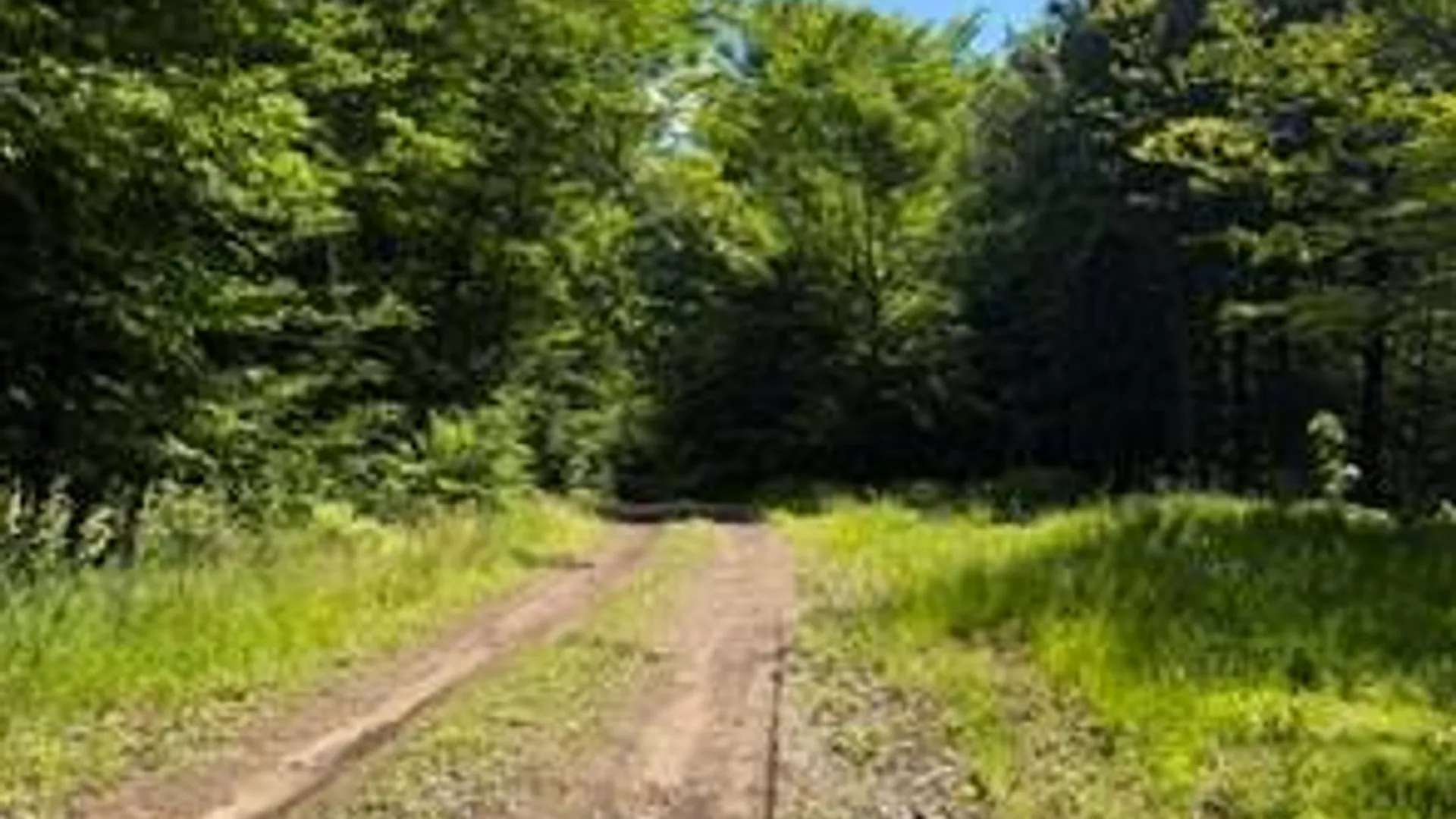 Property at 608 Jerseyfield Rd, Little Falls, NY 13365 2