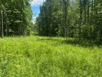 Property at 8050 Main Street, Hunter, NY 12442