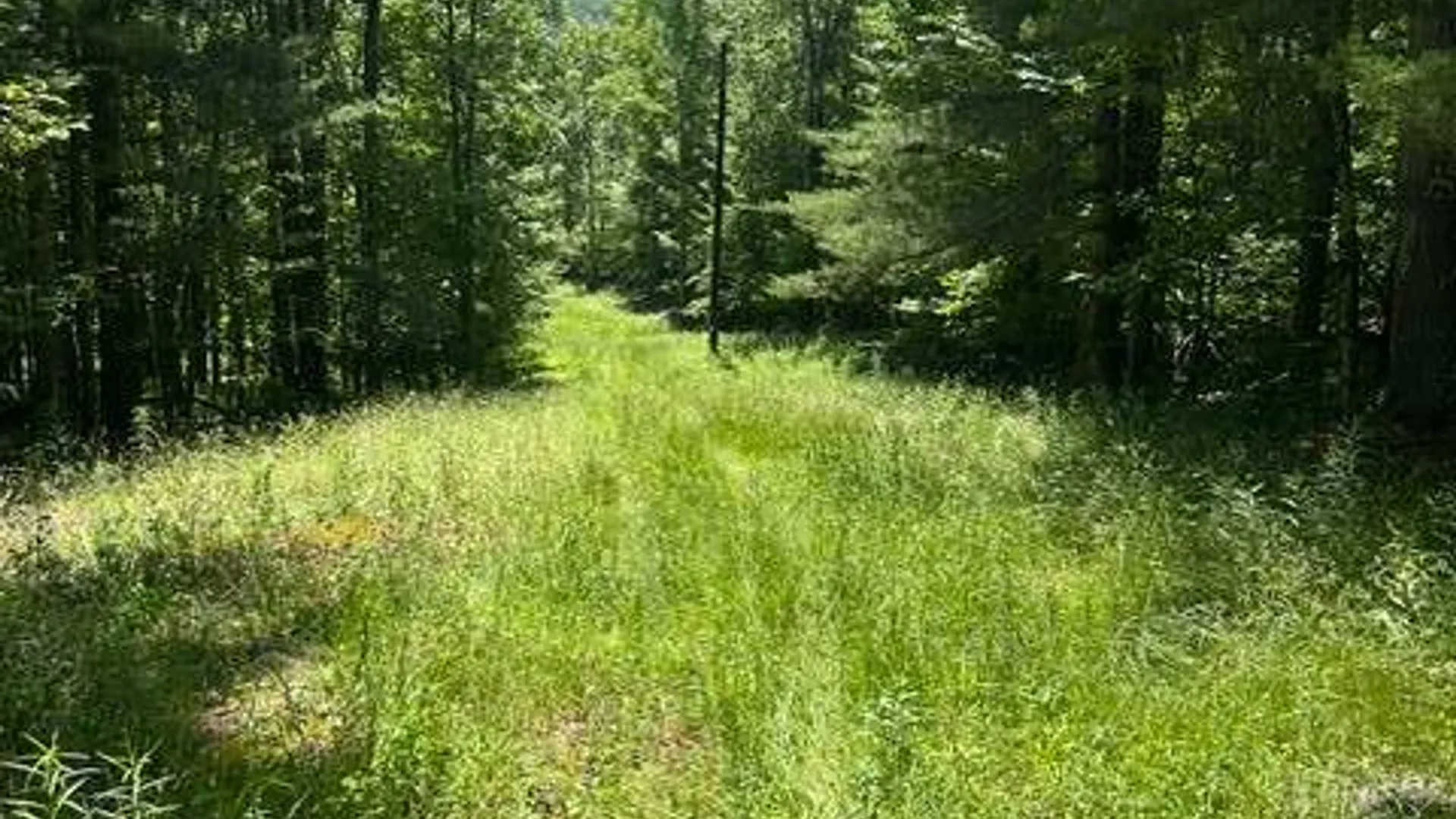 Property at 8050 Main Street, Hunter, NY 12442 2