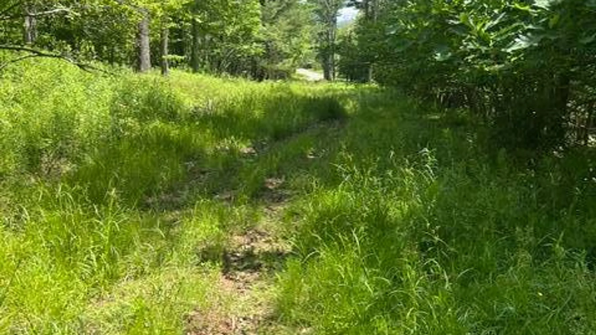 Property at 8050 Main Street, Hunter, NY 12442 3