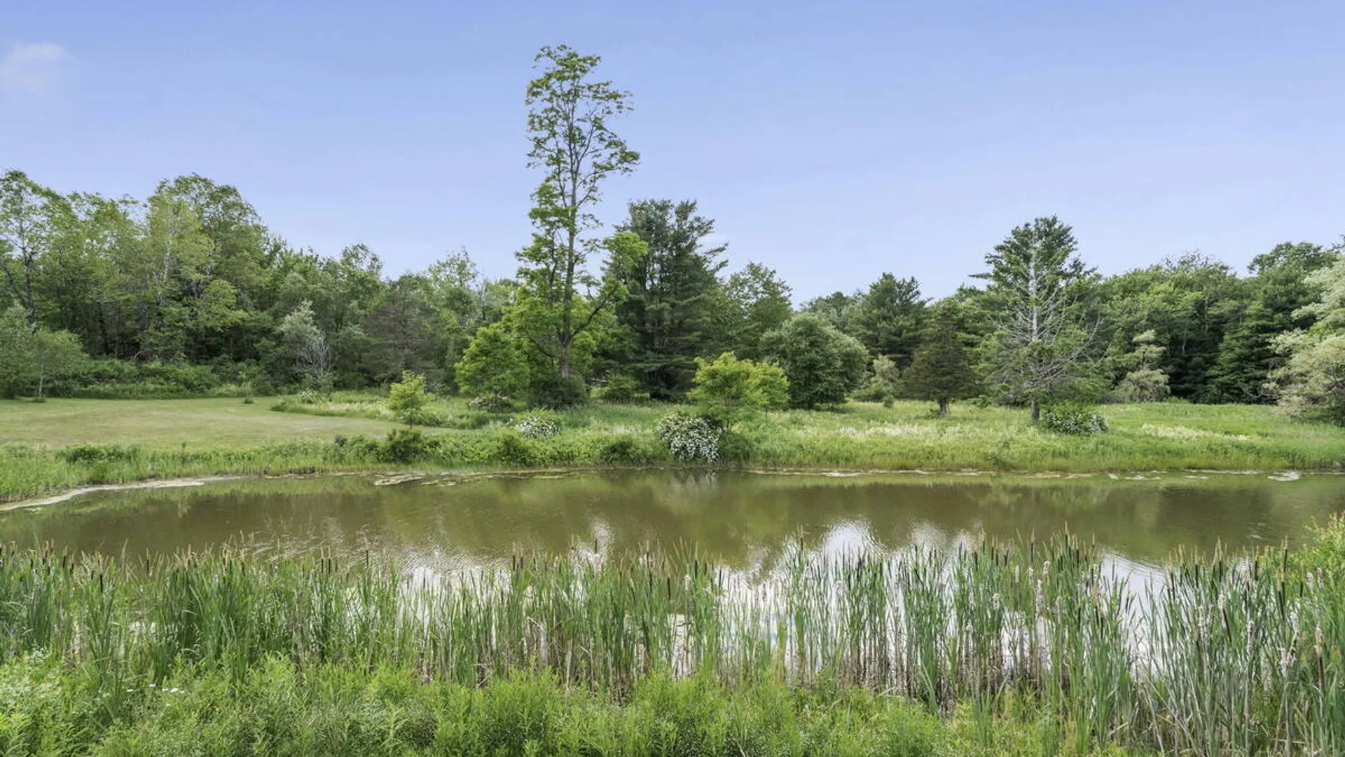 Property at 1161 County Route 408, Westerlo, NY 12193 46