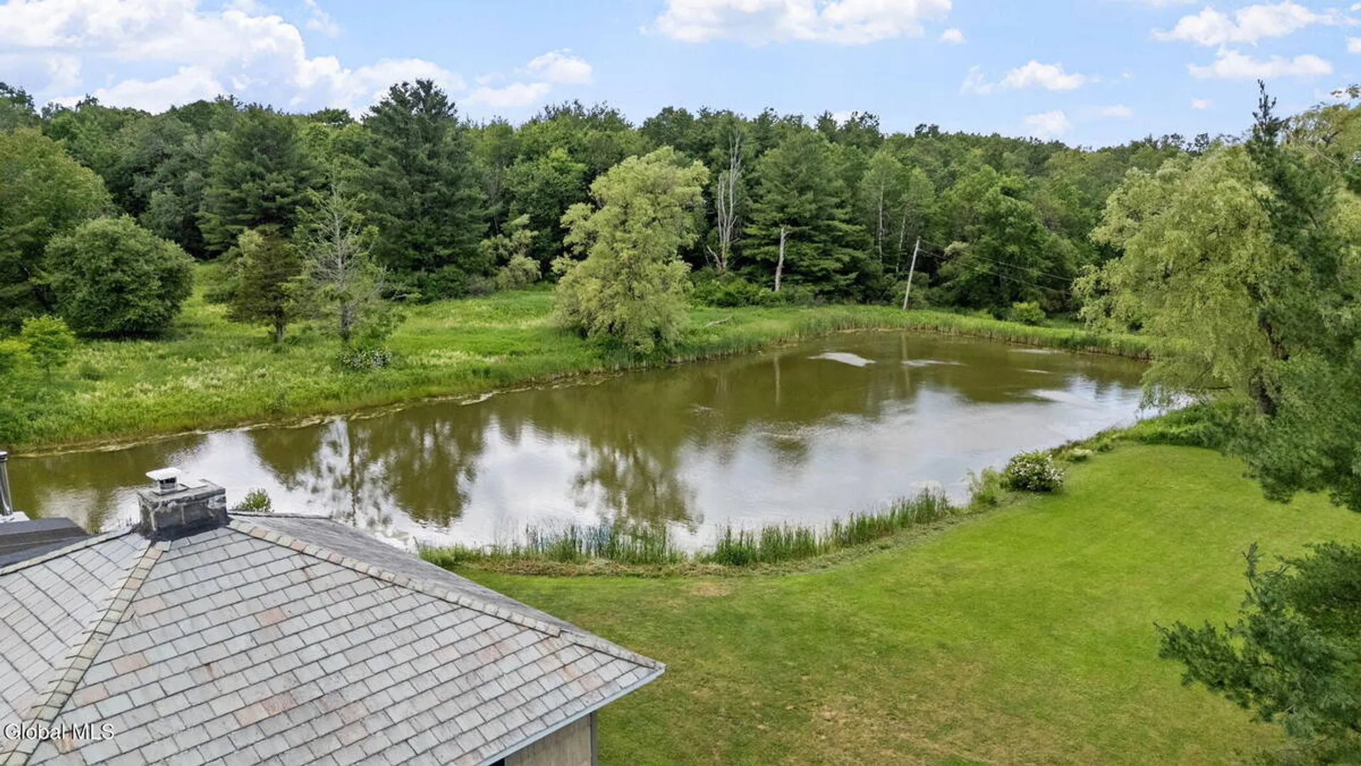 Property at 1161 County Route 408, Westerlo, NY 12193 59