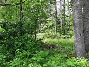 Property at 141 Elm Lake Rd., Speculator, NY 12164
