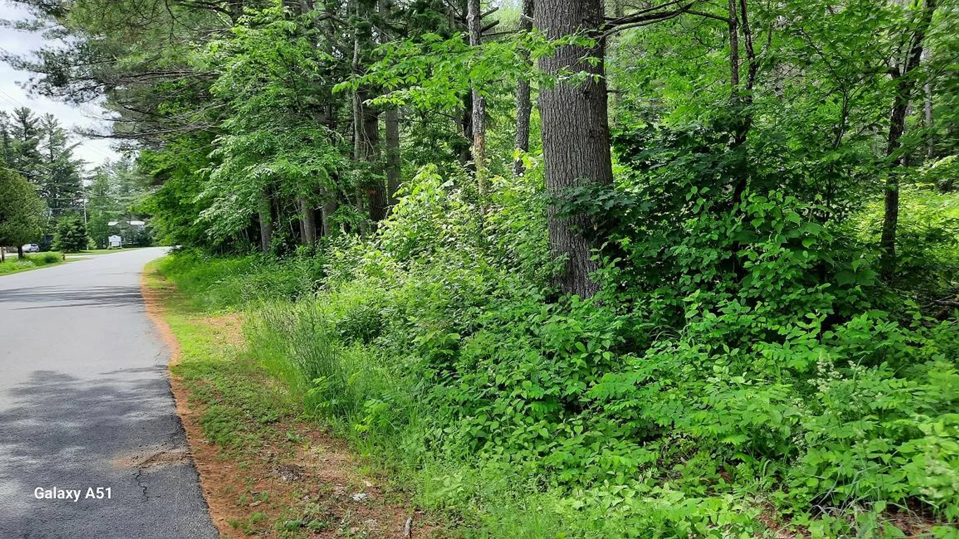Property at 141 Elm Lake Rd., Speculator, NY 12164 4