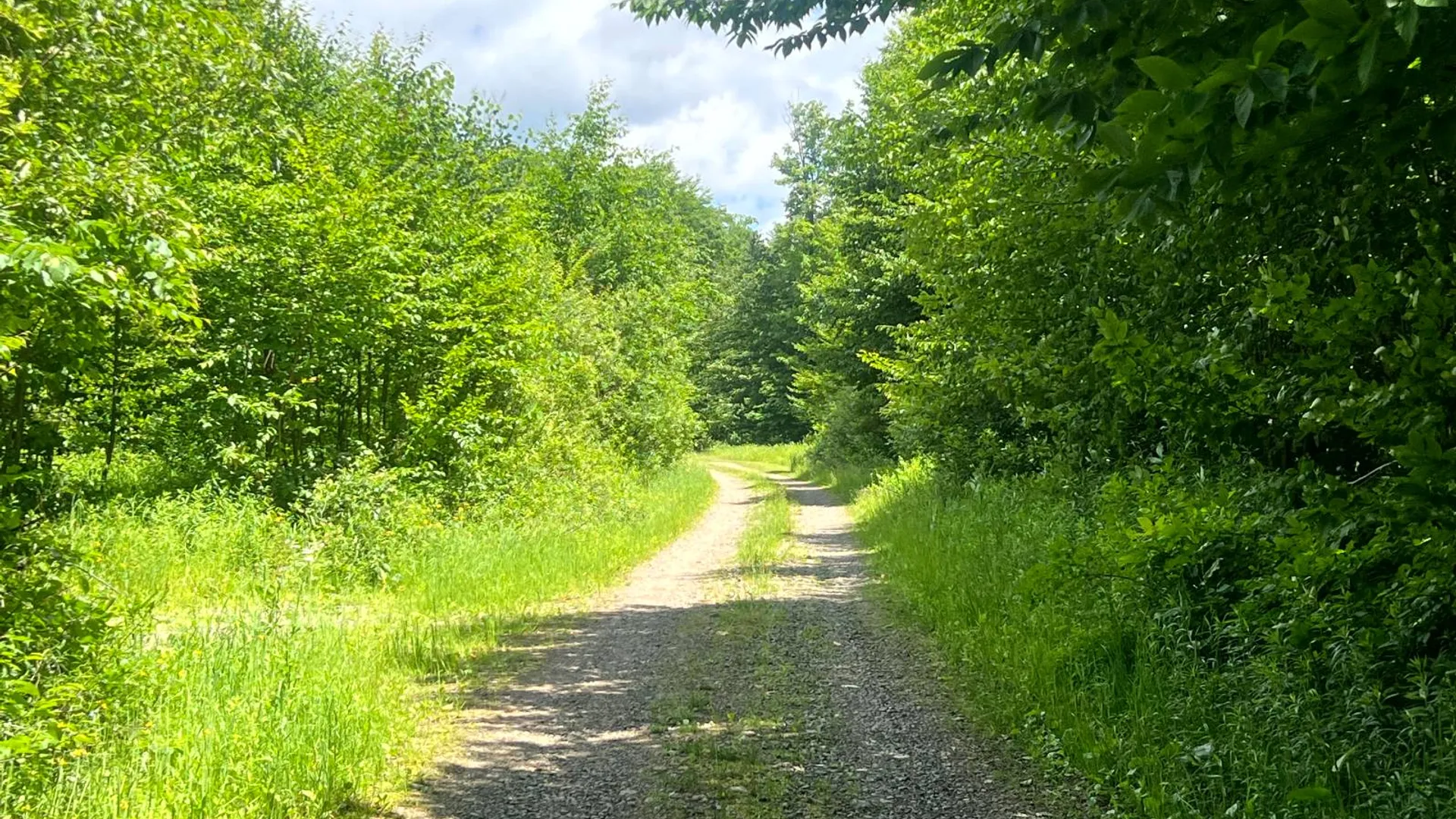 Property at Lot 8 Yorkland Rd, Annsville, NY 13471 2