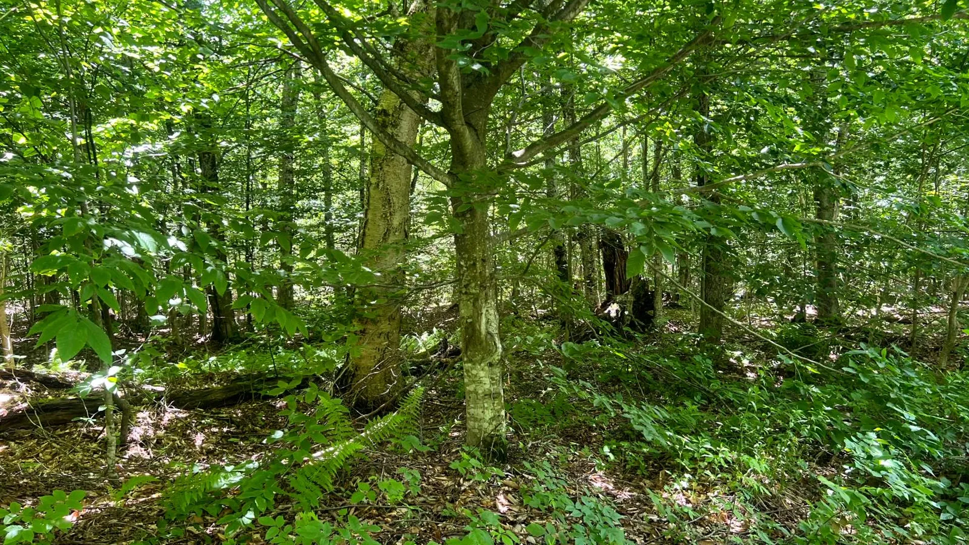 Property at Lot 8 Yorkland Rd, Annsville, NY 13471 20