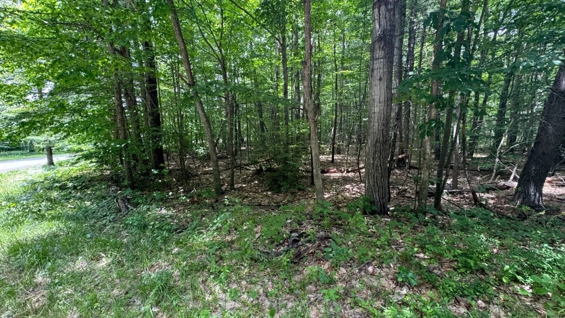 Property at 0 Prentice Gorge Rd., Unadilla, NY 13849 10