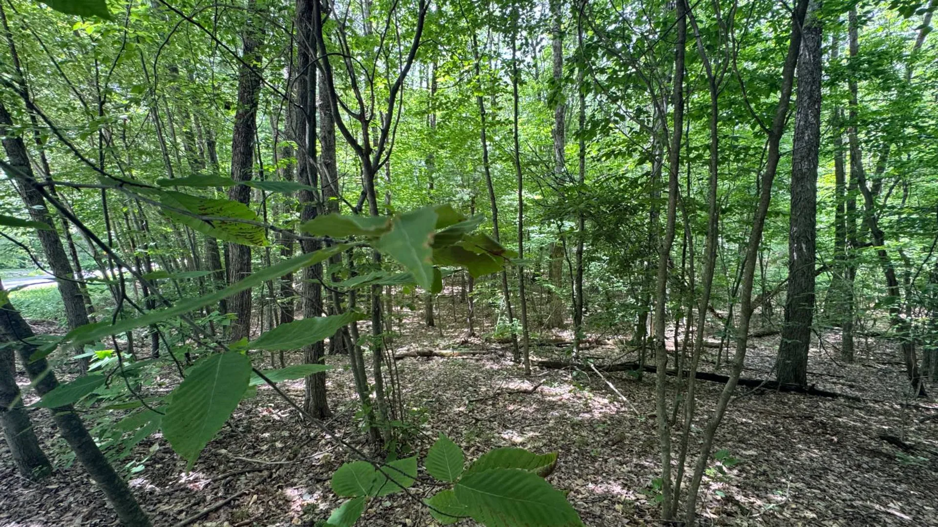 Property at 0 Prentice Gorge Rd., Unadilla, NY 13849 11