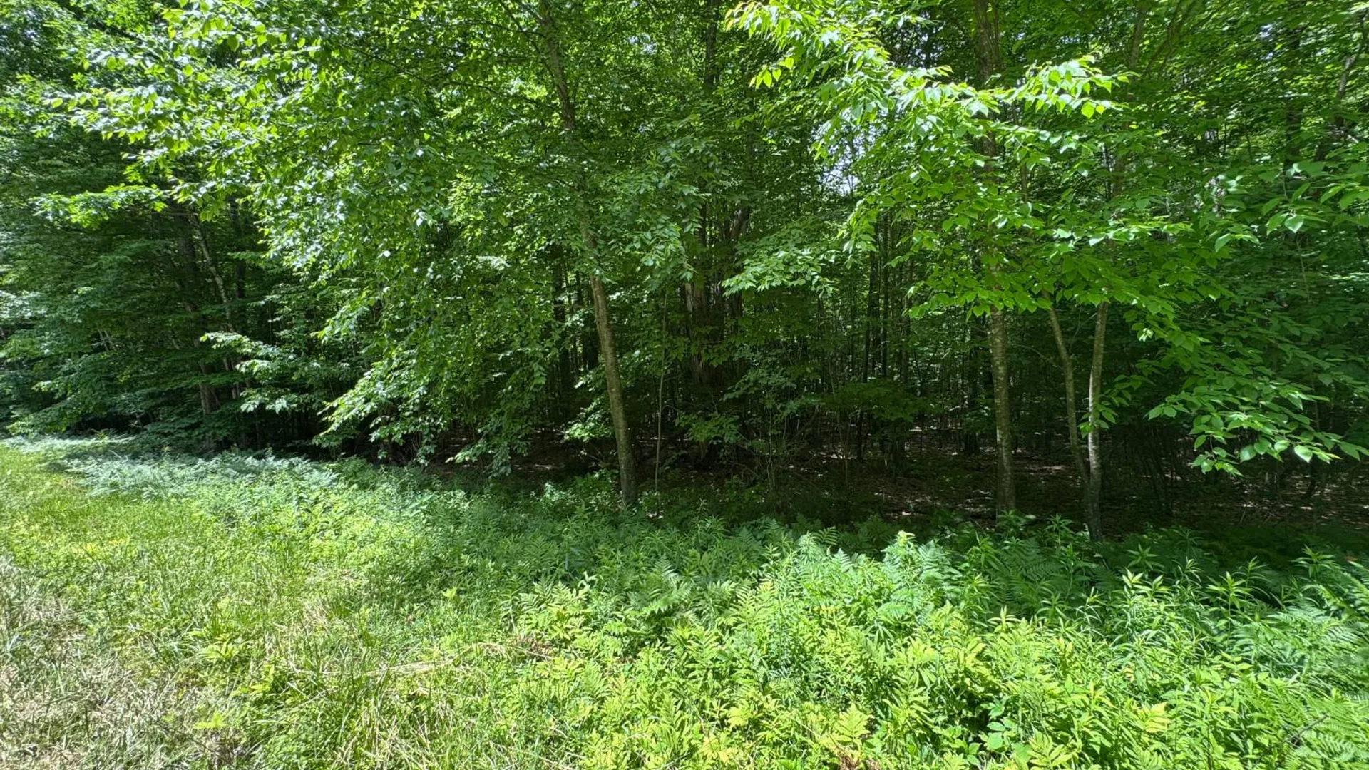Property at 0 Prentice Gorge Rd., Unadilla, NY 13849 12