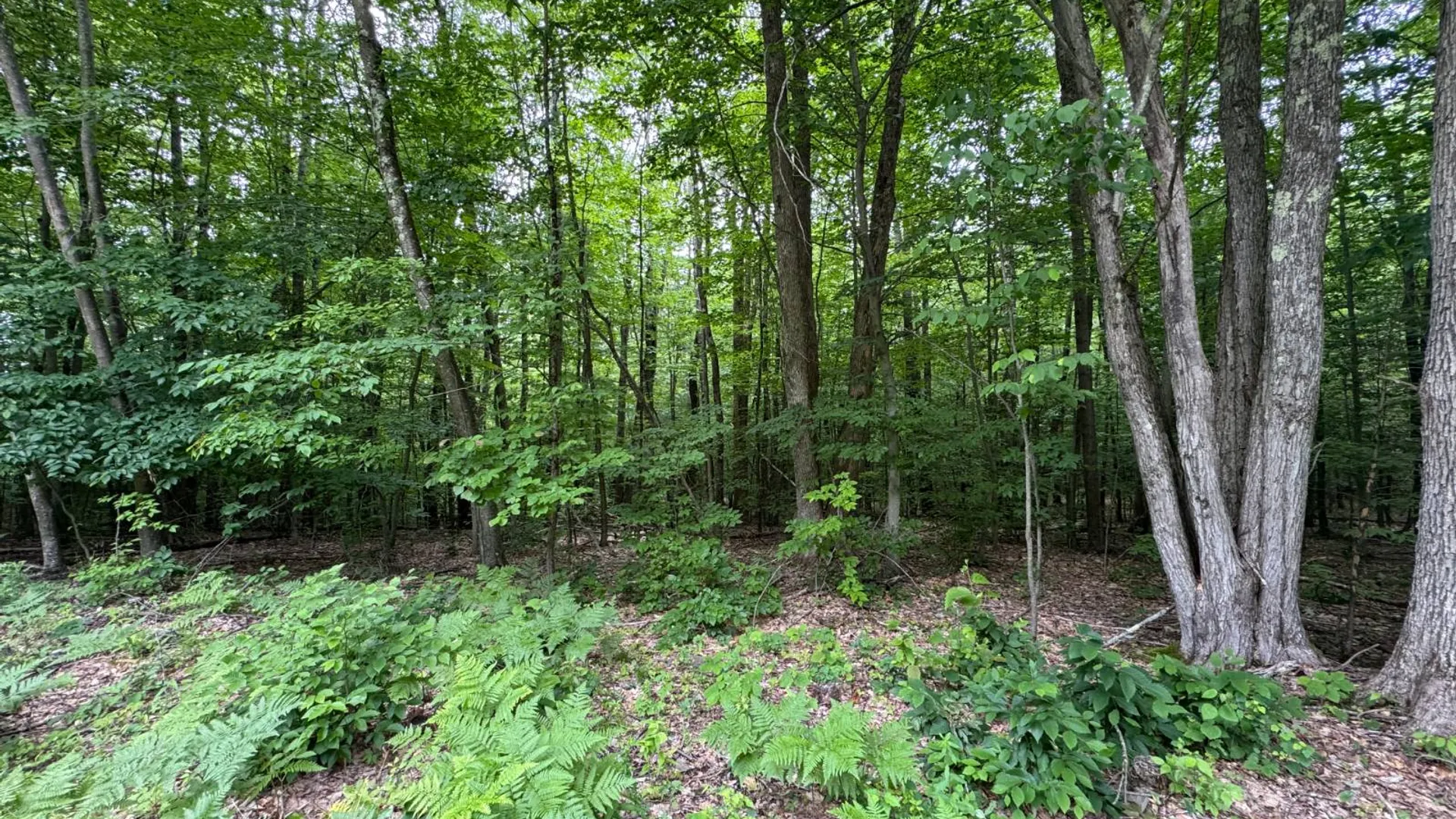 Property at 0 Prentice Gorge Rd., Unadilla, NY 13849 14