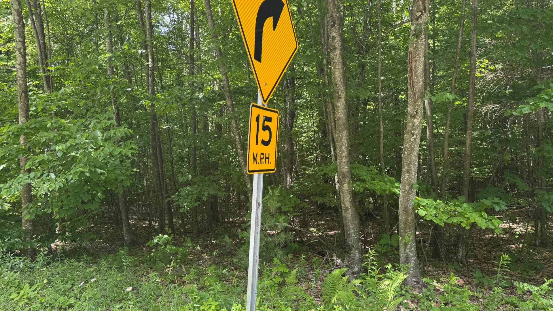 Property at 0 Prentice Gorge Rd., Unadilla, NY 13849 16