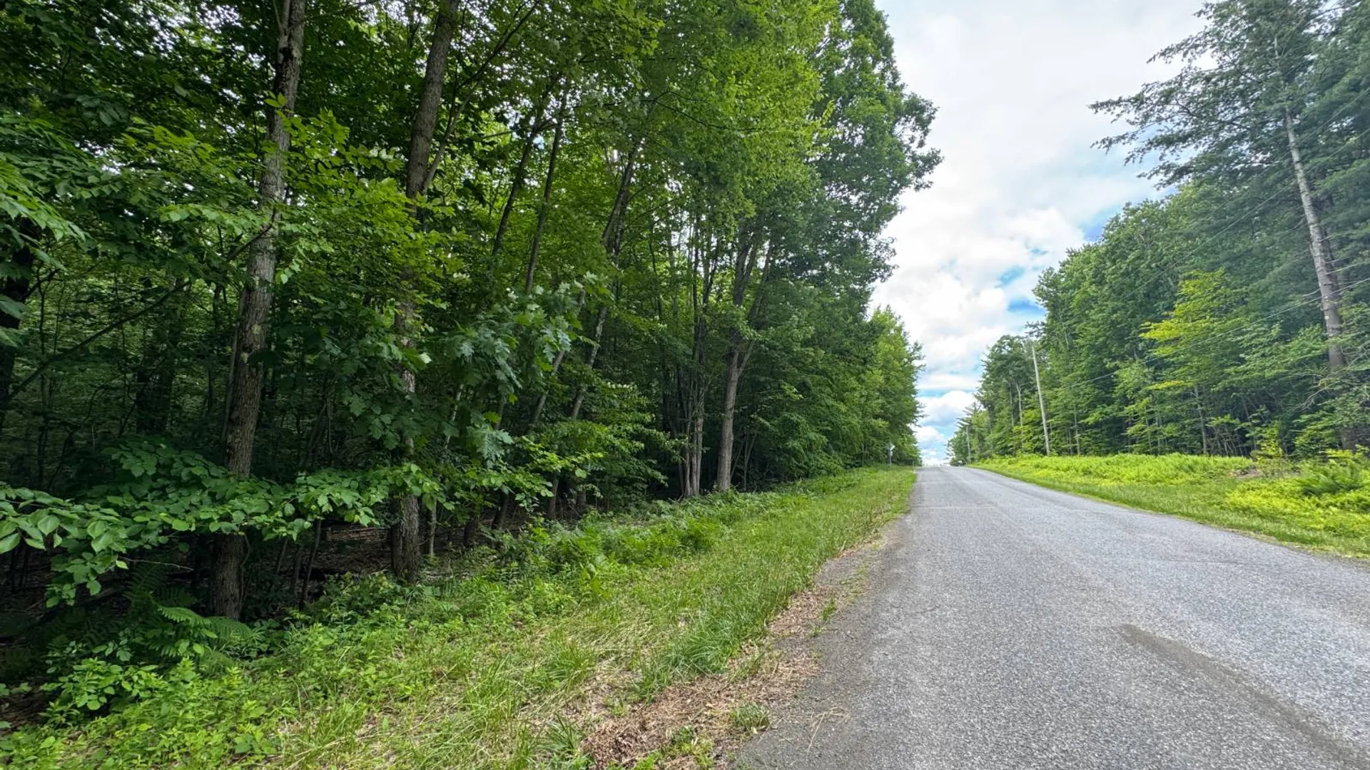 Property at 0 Prentice Gorge Rd., Unadilla, NY 13849 2