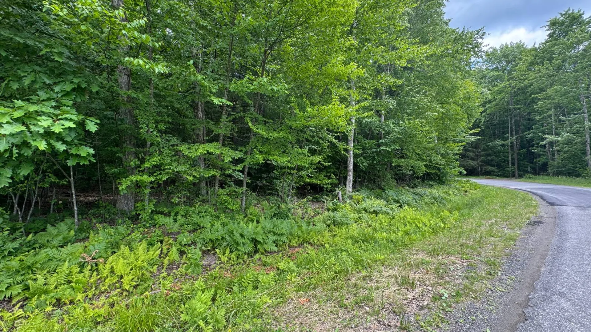 Property at 0 Prentice Gorge Rd., Unadilla, NY 13849 4