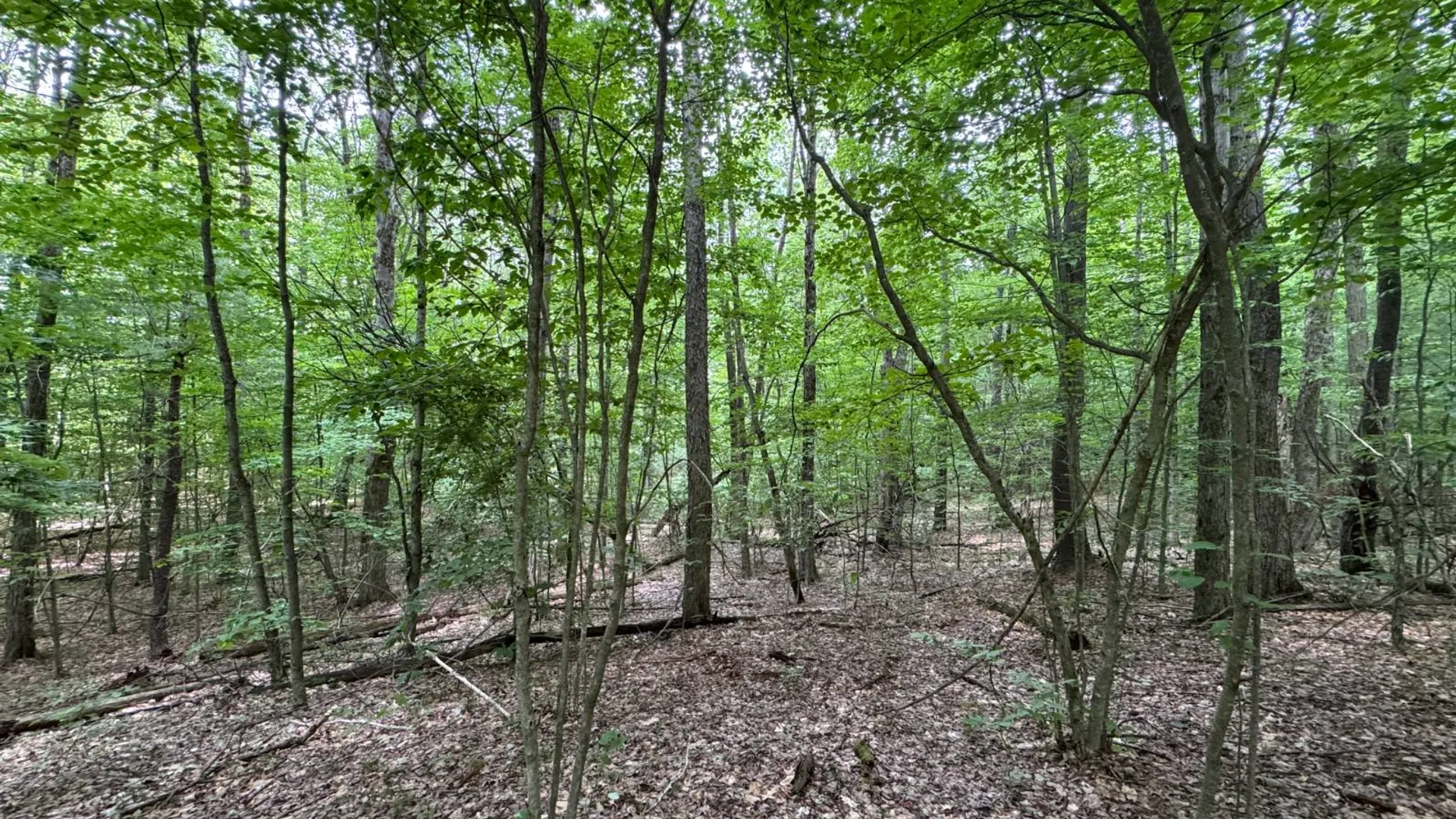 Property at 0 Prentice Gorge Rd., Unadilla, NY 13849 9
