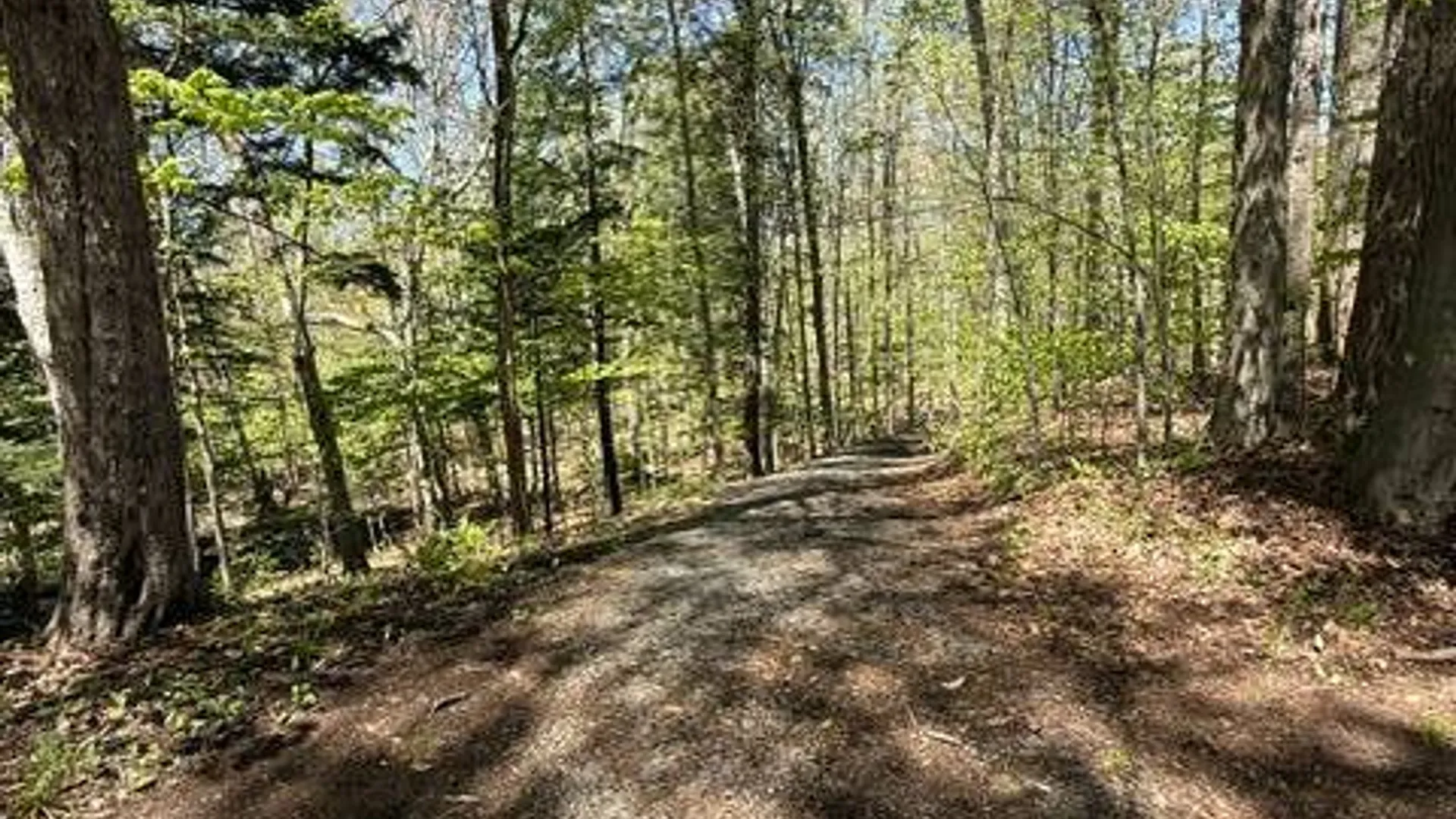 Property at 3915 Pratt Drive, Oneida, NY 13421 15