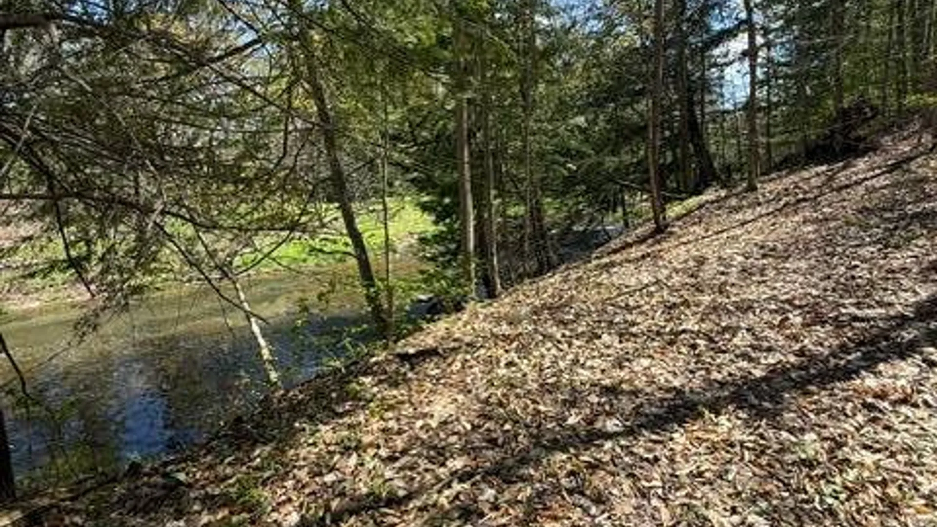 Property at 3915 Pratt Drive, Oneida, NY 13421 16