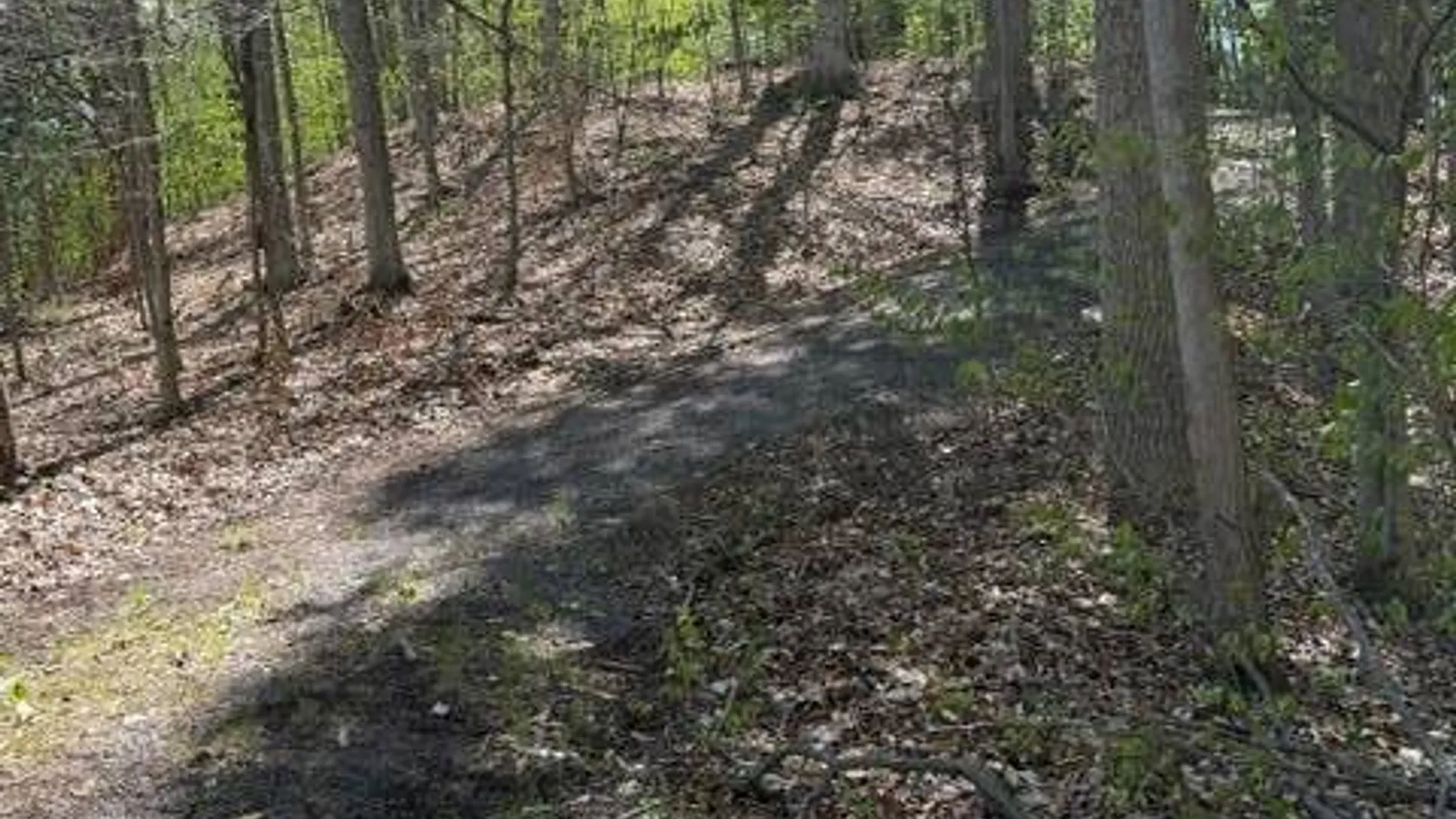 Property at 3915 Pratt Drive, Oneida, NY 13421 17