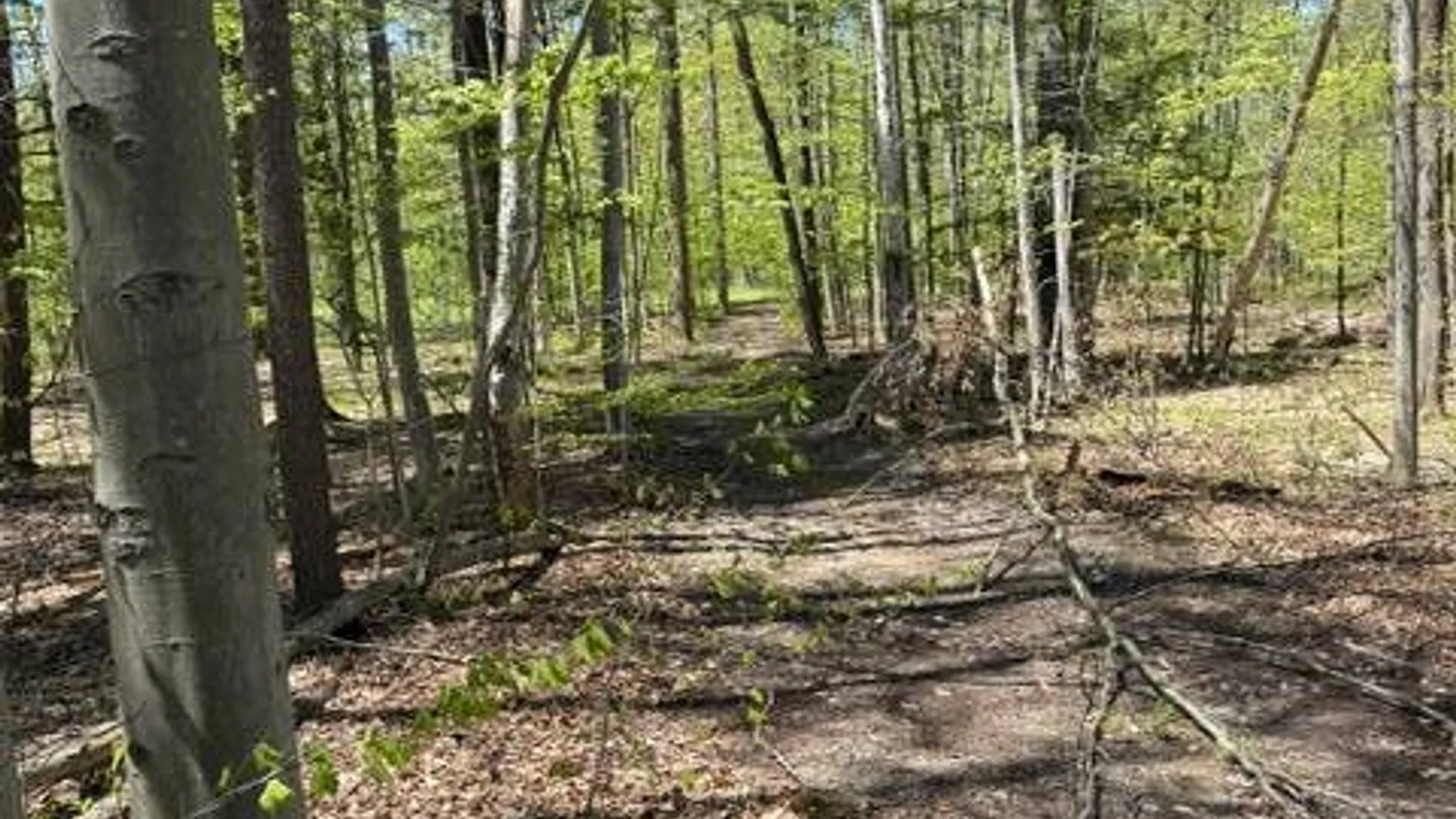 Property at 3915 Pratt Drive, Oneida, NY 13421 18