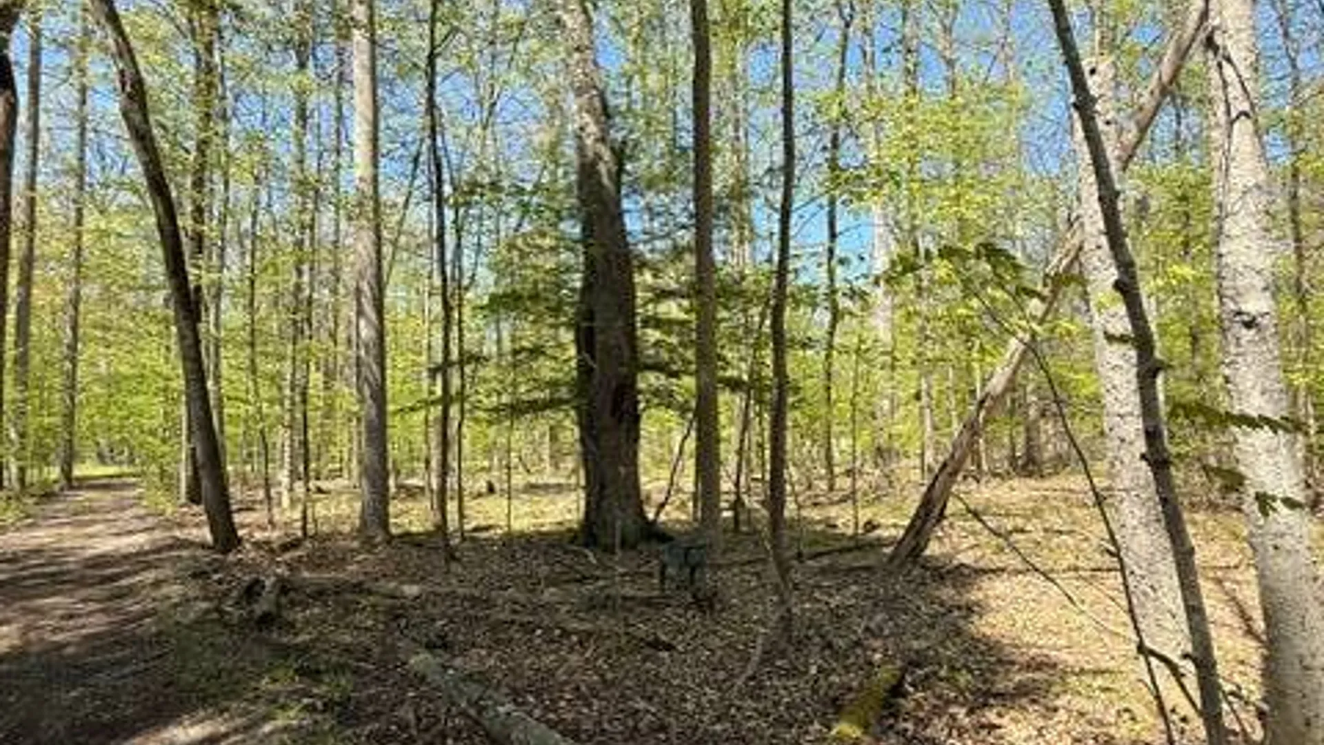Property at 3915 Pratt Drive, Oneida, NY 13421 19