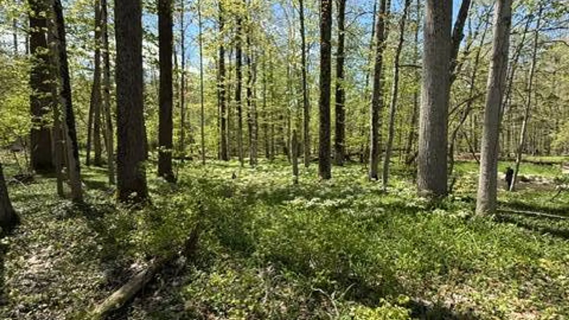 Property at 3915 Pratt Drive, Oneida, NY 13421 26