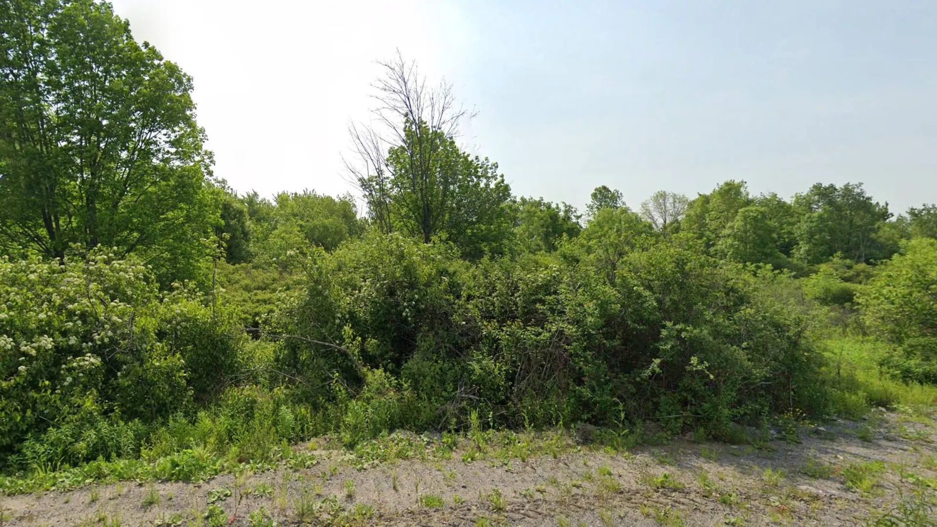 Property at 00 cty rte 46, Theresa, NY 13691 3