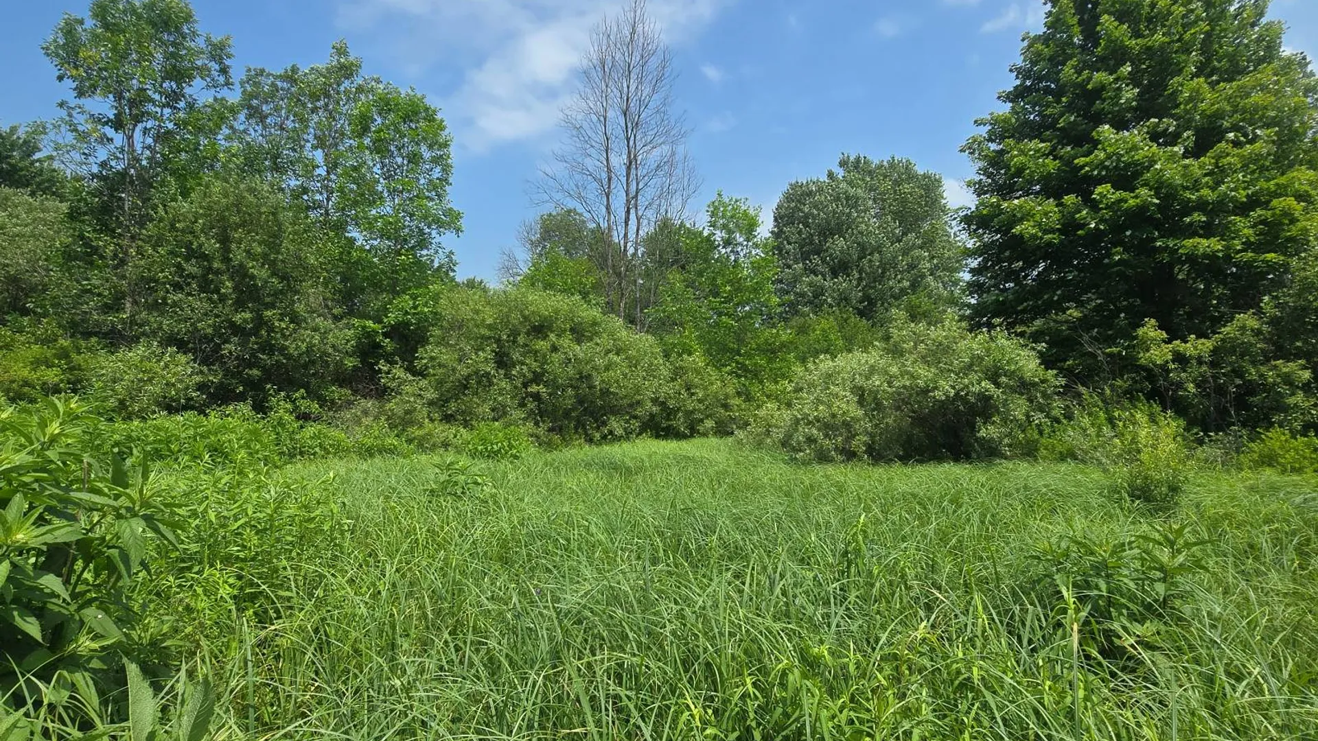Property at 00 cty rte 46, Theresa, NY 13691 4