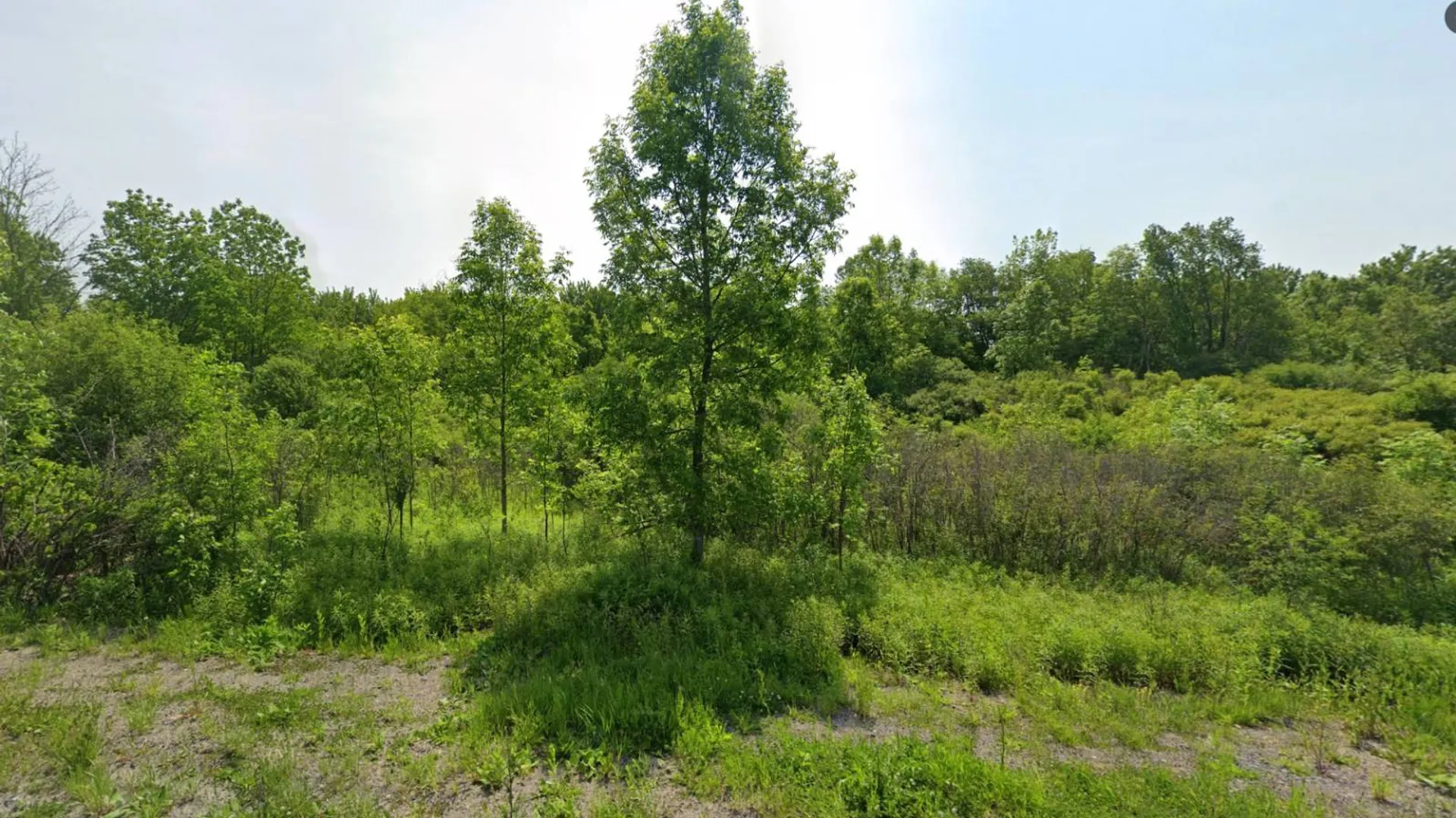 Property at 00 cty rte 46, Theresa, NY 13691 5