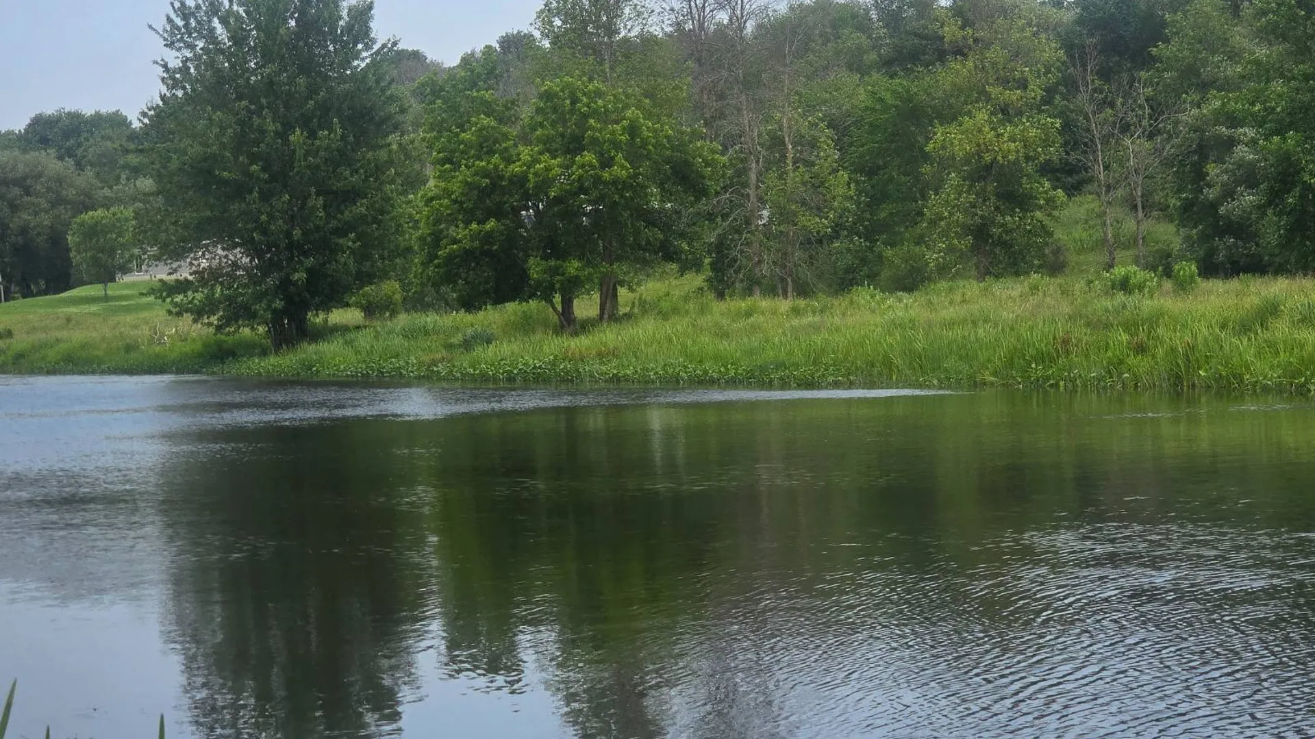 Property at 00 cty rte 46, Theresa, NY 13691 2