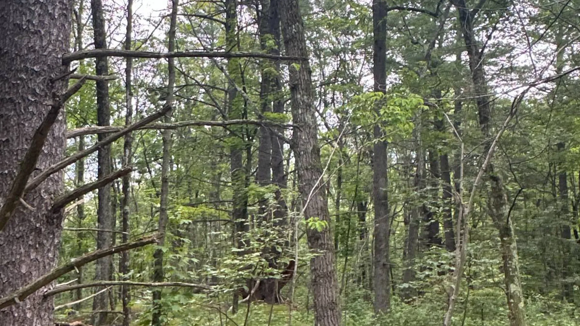 Property at 1WTP Rossway Rd, Pleasant Valley, NY 12569 10