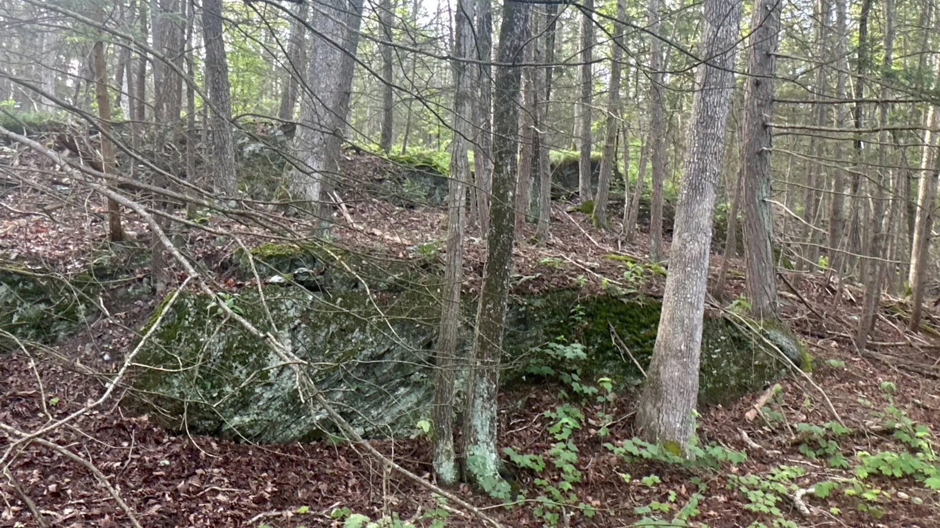 Property at 1WTP Rossway Rd, Pleasant Valley, NY 12569 12