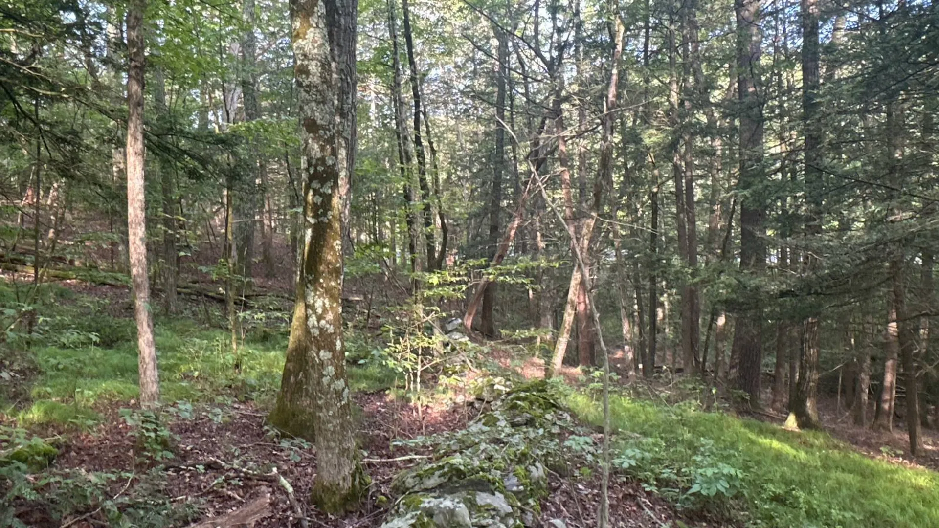 Property at 1WTP Rossway Rd, Pleasant Valley, NY 12569 13
