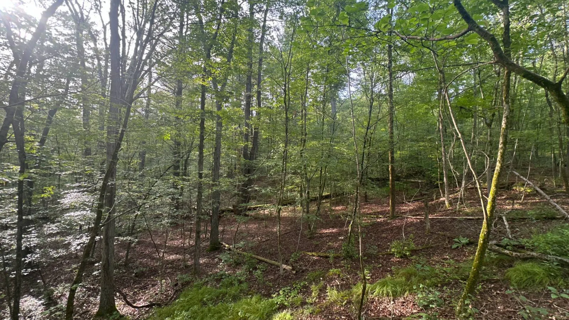 Property at 1WTP Rossway Rd, Pleasant Valley, NY 12569 15